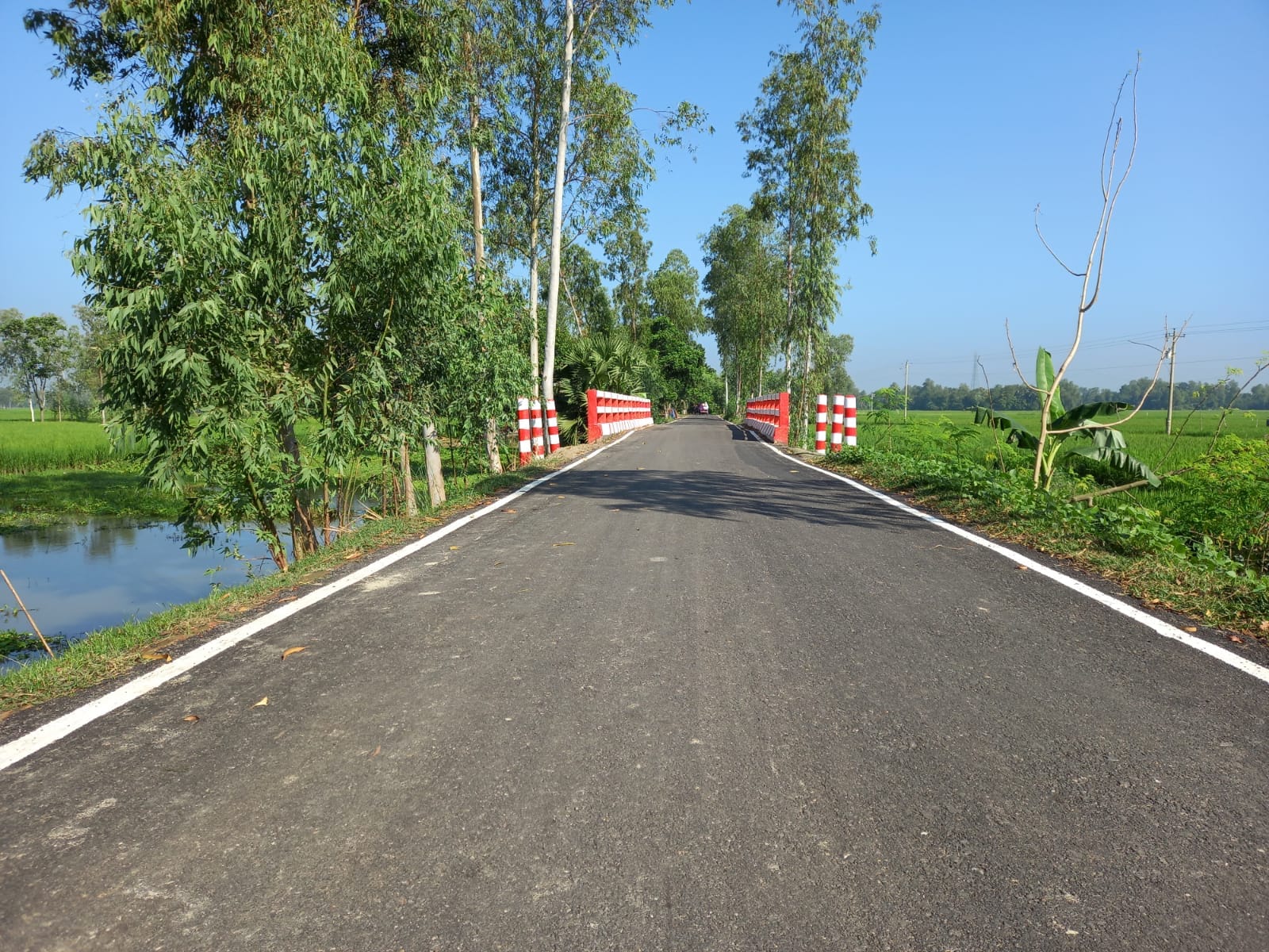 ব্যানার-৫