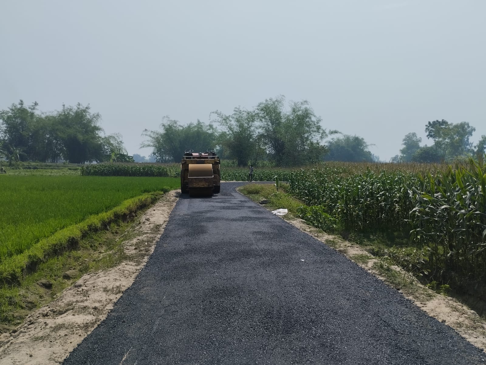 রুদ্রপুর সড়ক