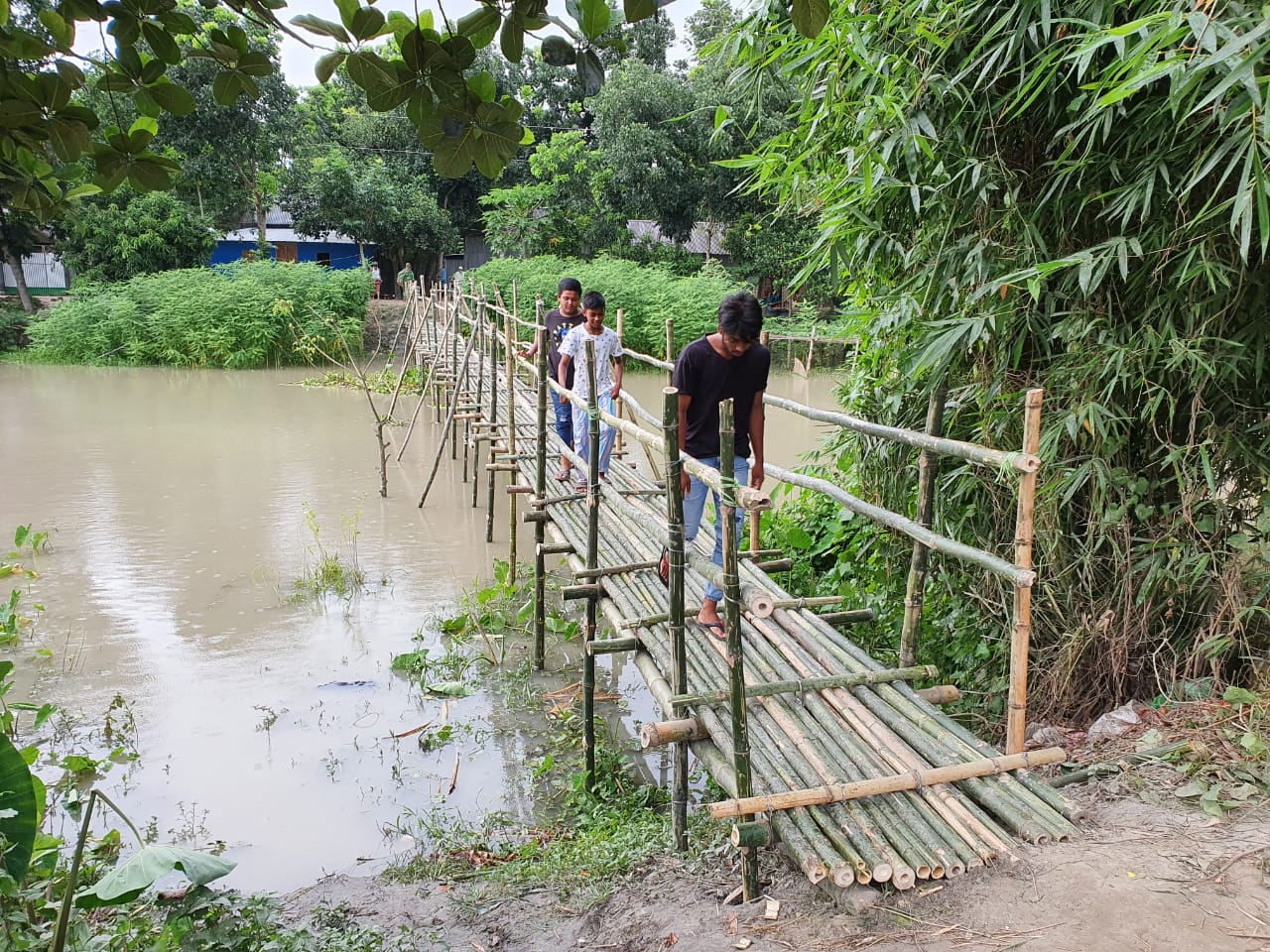 বাশের ব্রীজ