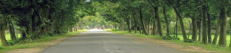 ব্যানার