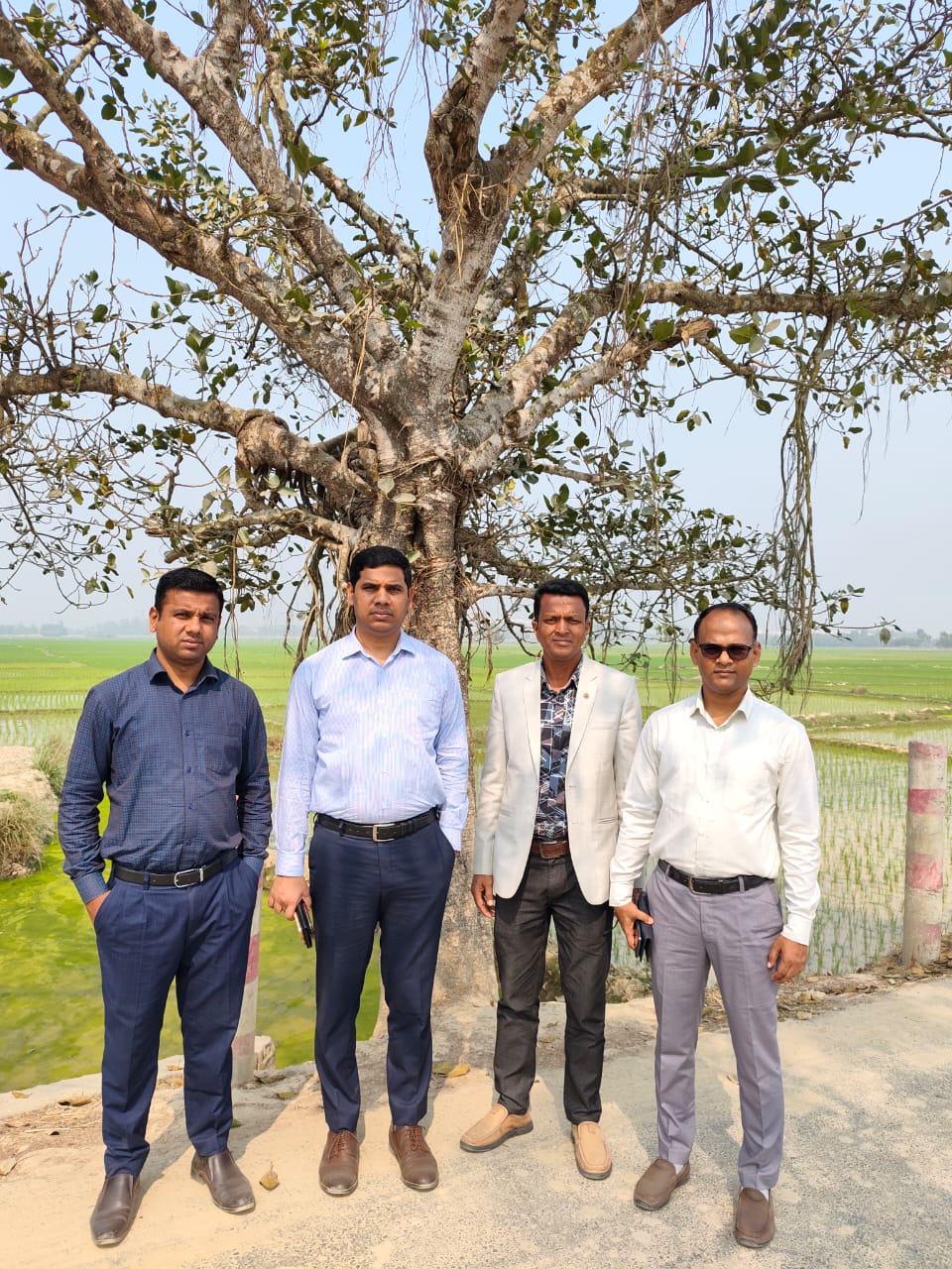 সাইট পরিদর্শন