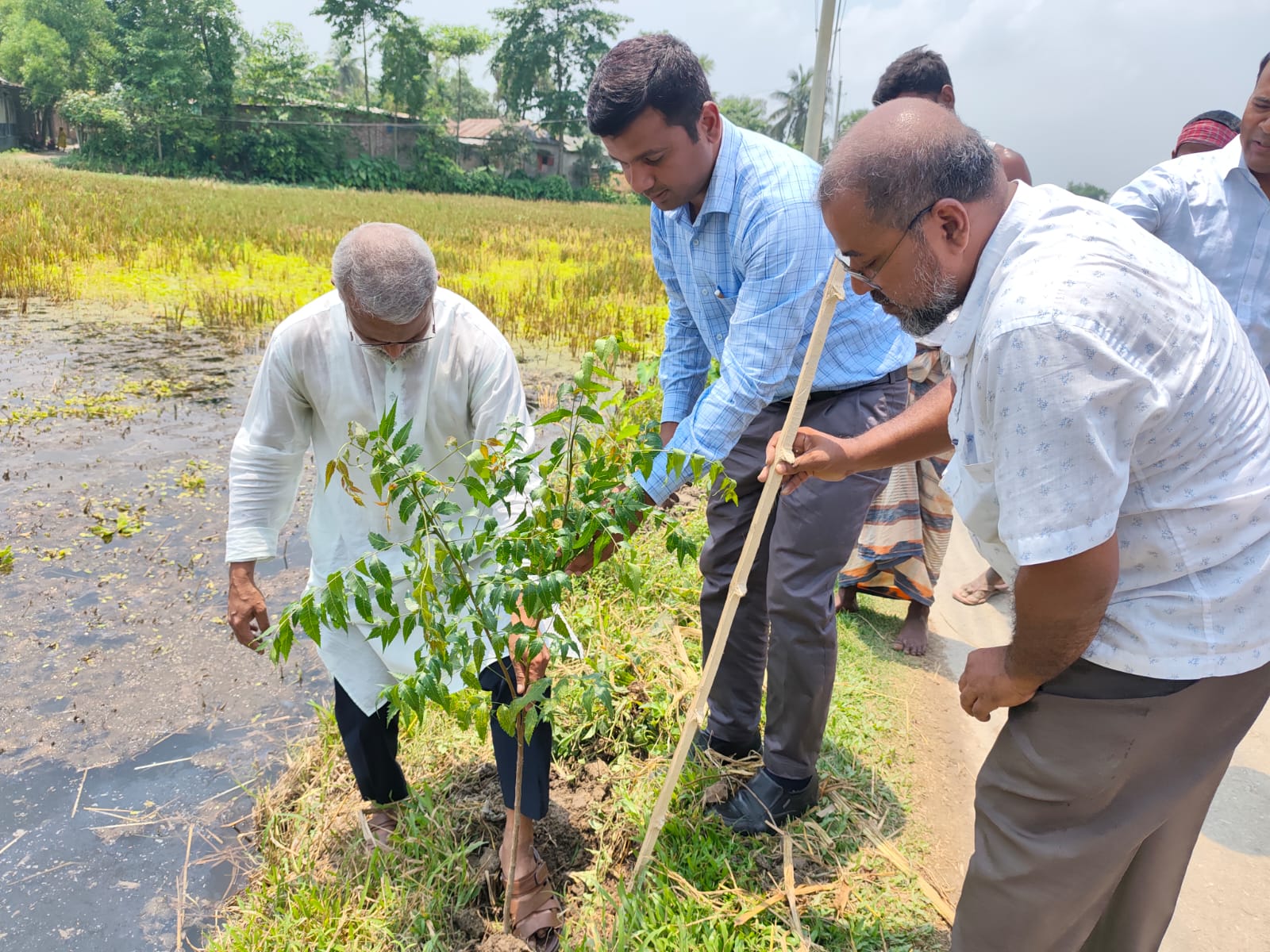 পরিদর্শন