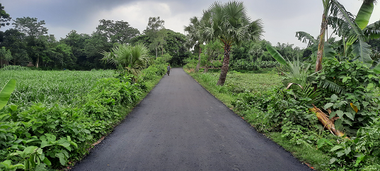 রোড পিকচার