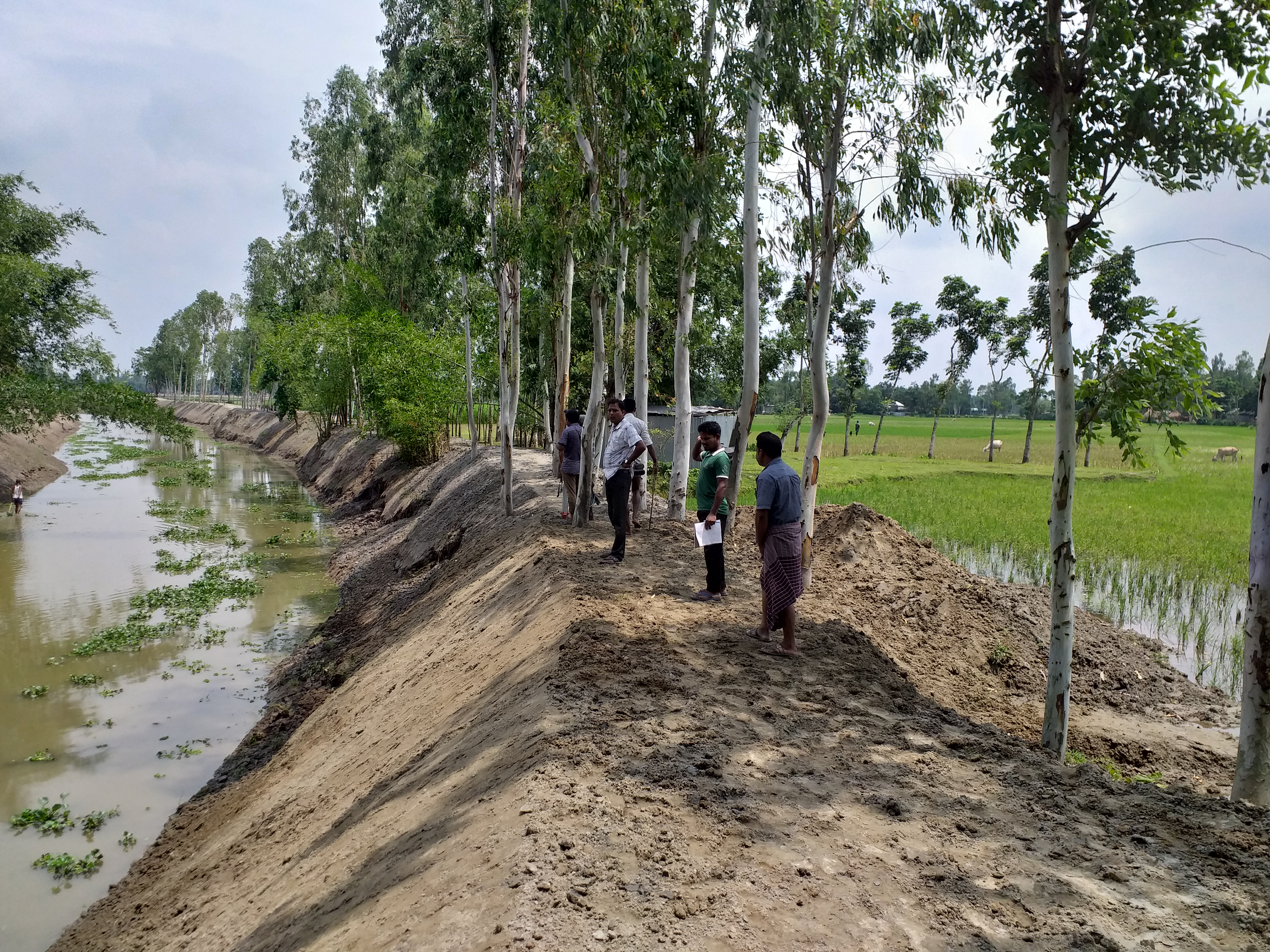 ল্যাংগা খাল ছবি, সুন্দরগঞ্জ