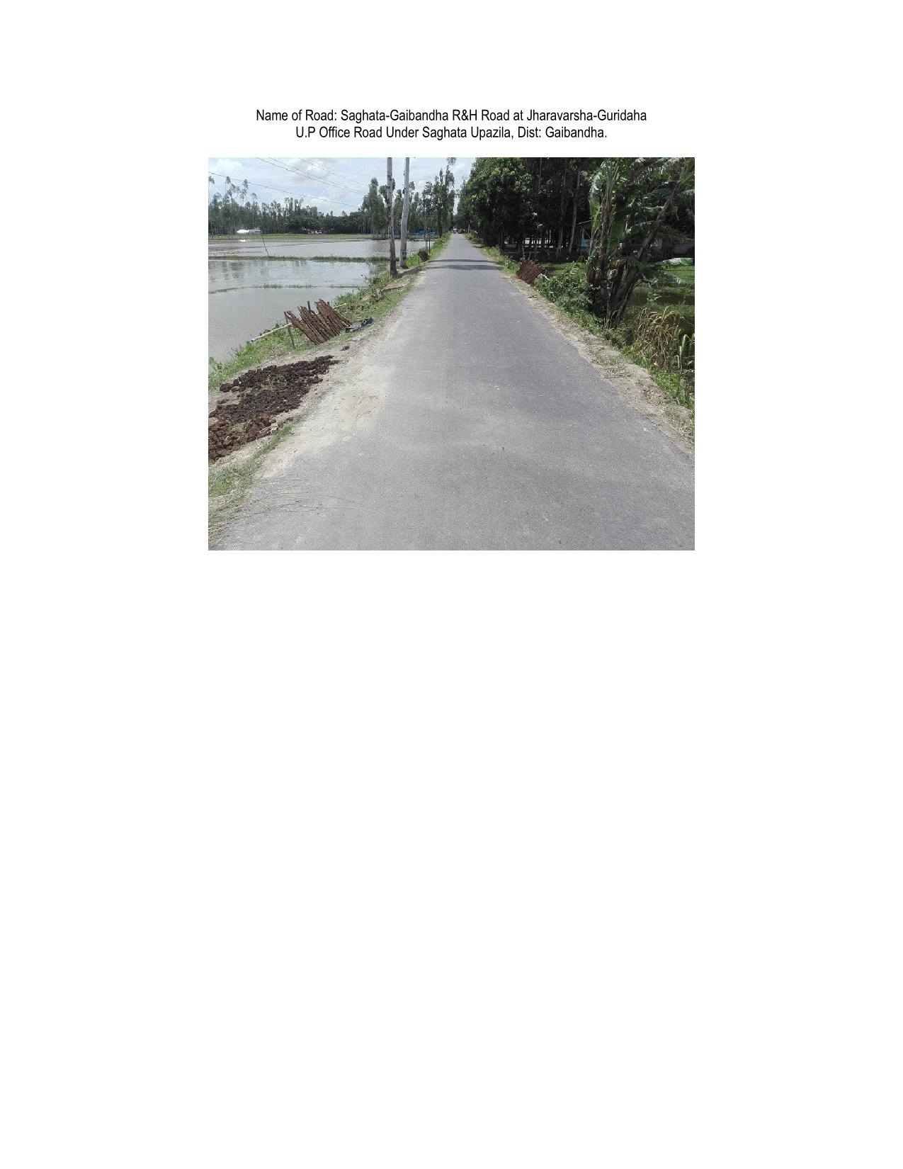 বন্যায় ক্ষতিগ্রস্ত রাস্তা/সেতু/কালভাট