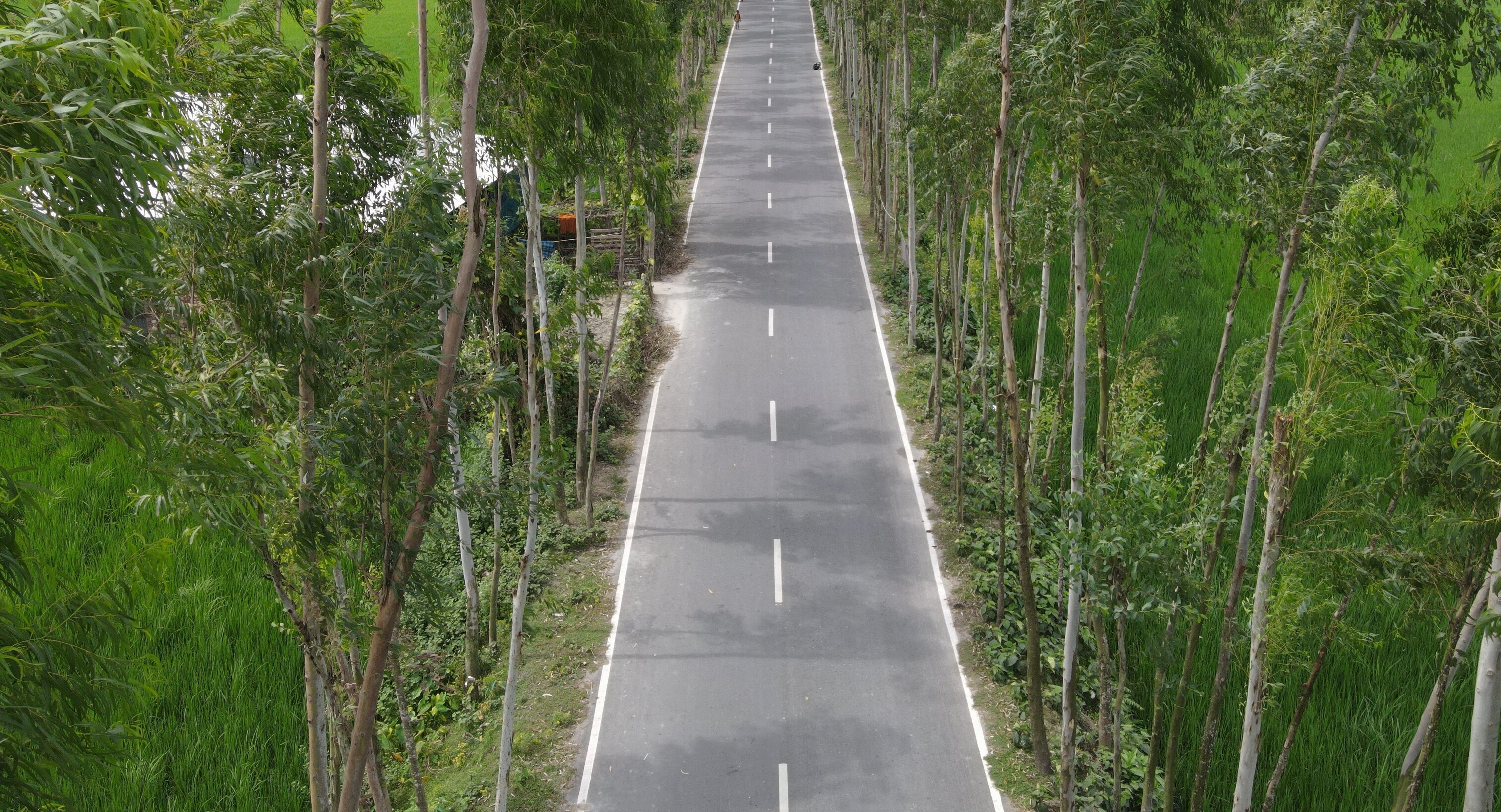 মজুমদার হাট রোড, গাইবান্ধা