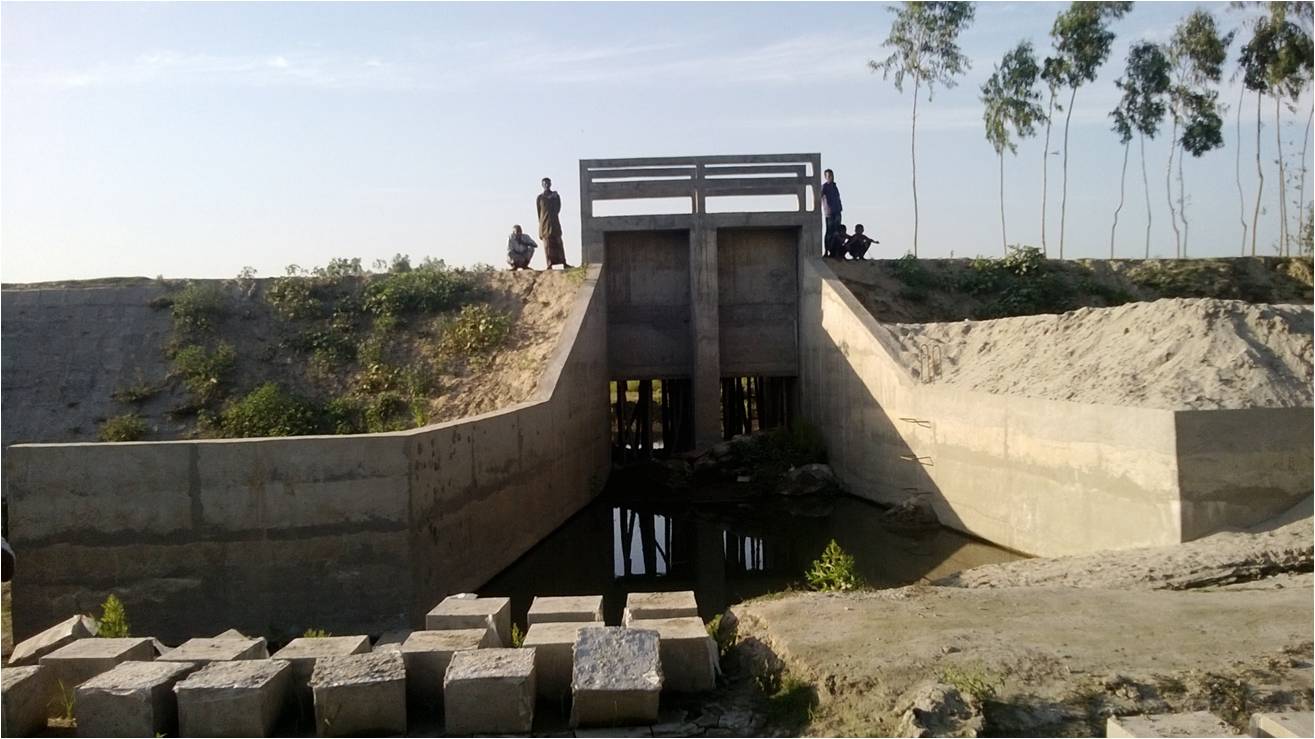 Daldalia Regulator construction on going