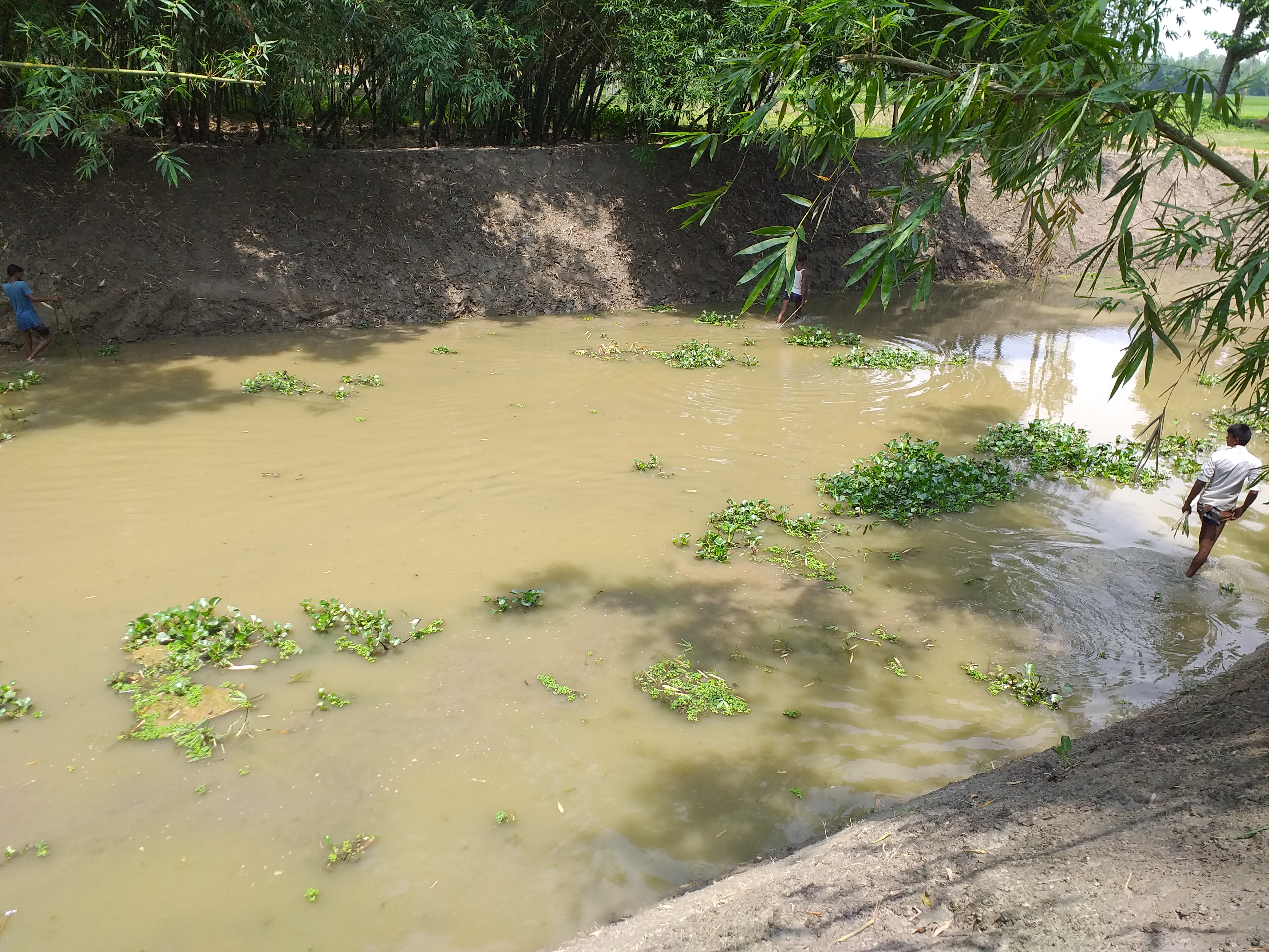 ল্যাংগা খাল ছবি, সুন্দরগঞ্জ