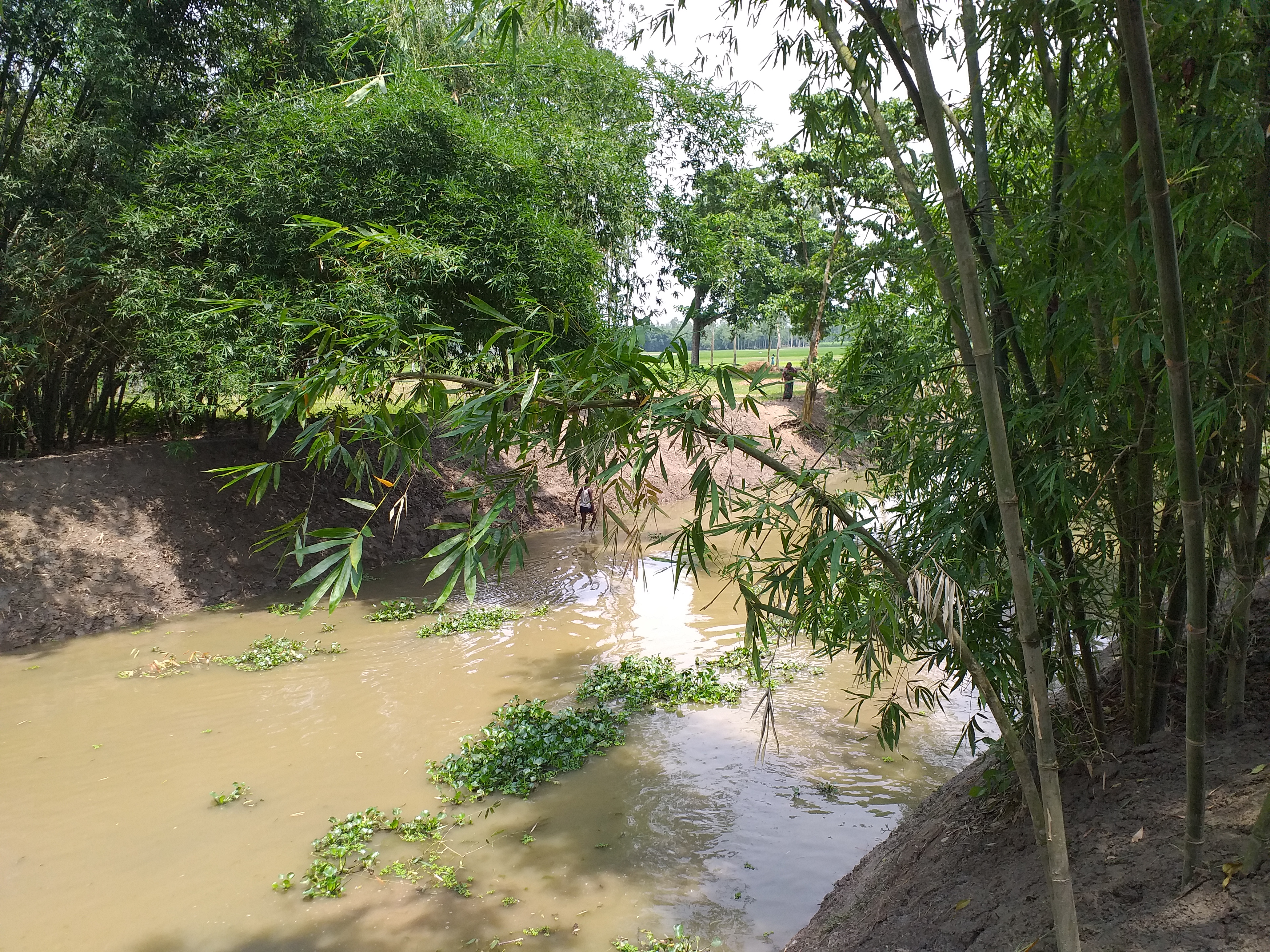 ল্যাংগা খাল ছবি, সুন্দরগঞ্জ