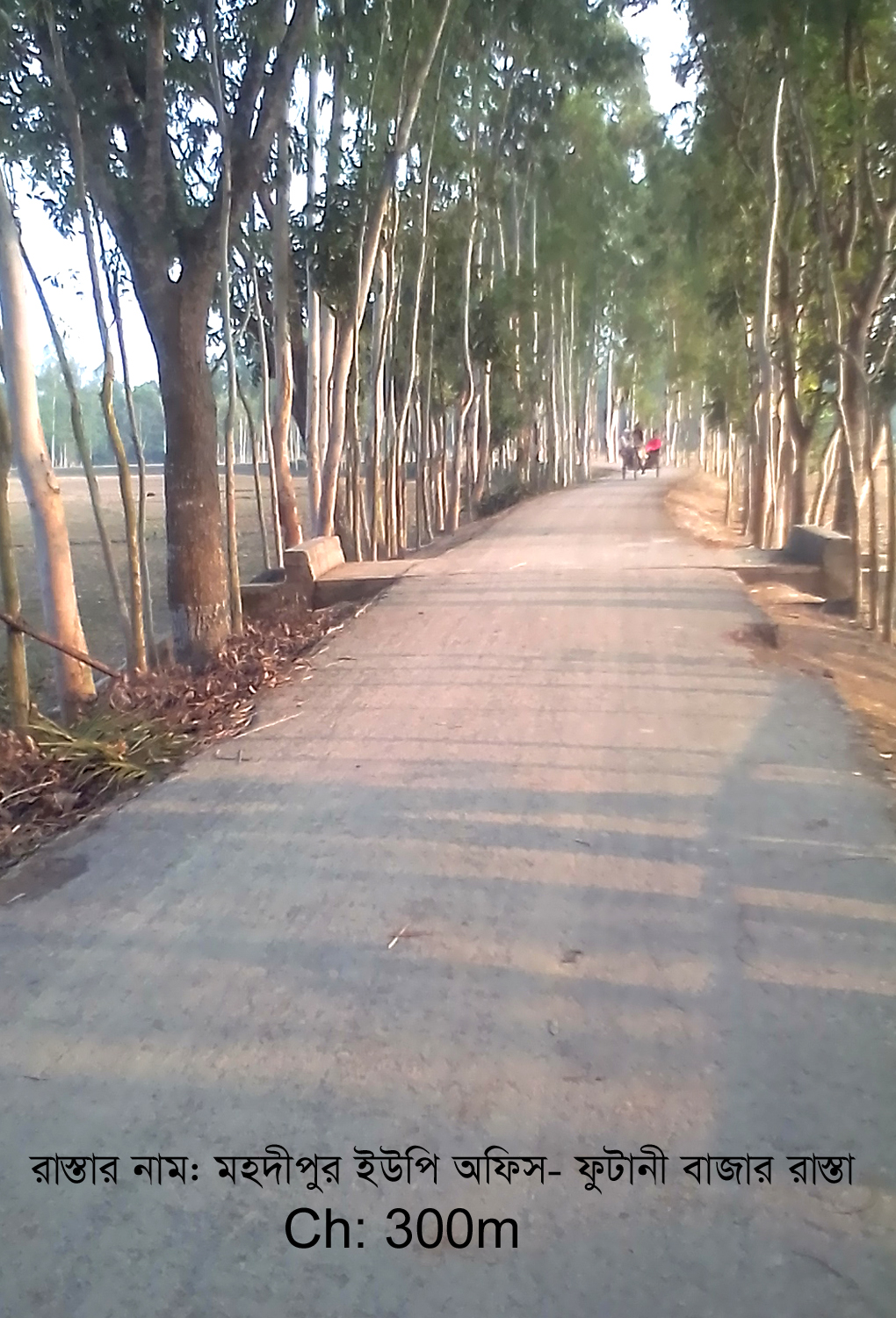 Mohadipur UP Office to Futani Bazar Road