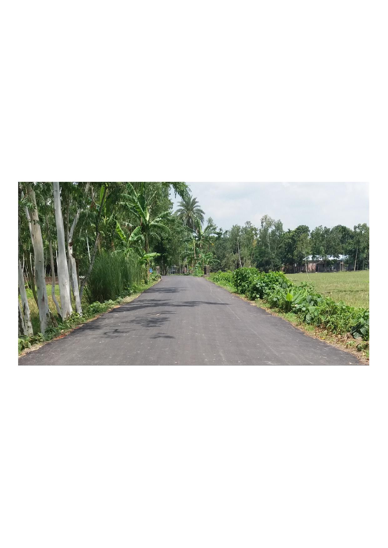 Tulsighat Hat to Ramchandrapur Palli Health Centre road