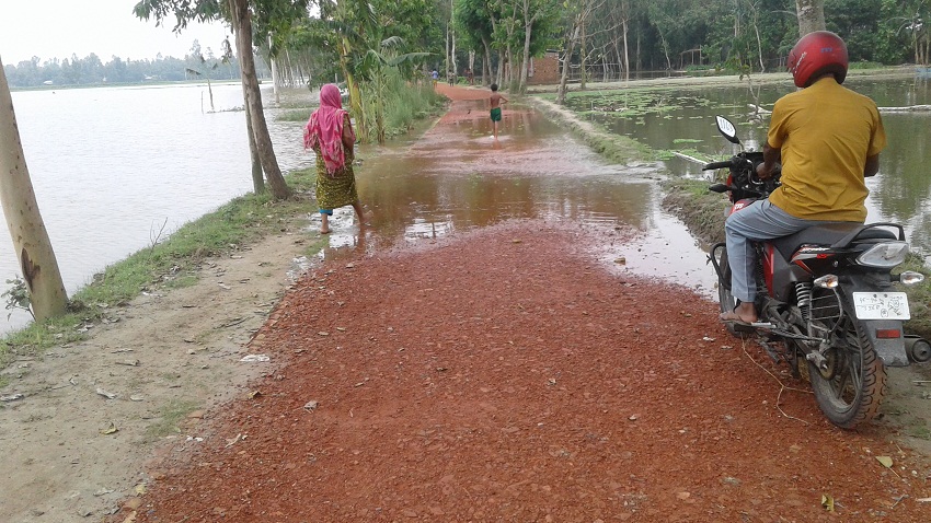 বন্যায় ক্ষতিগ্রস্ত রাস্তা/সেতু/কালভাট