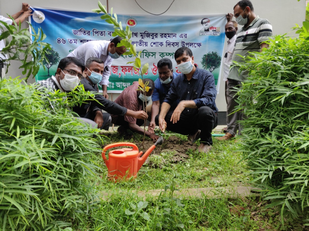 Tree Plantation