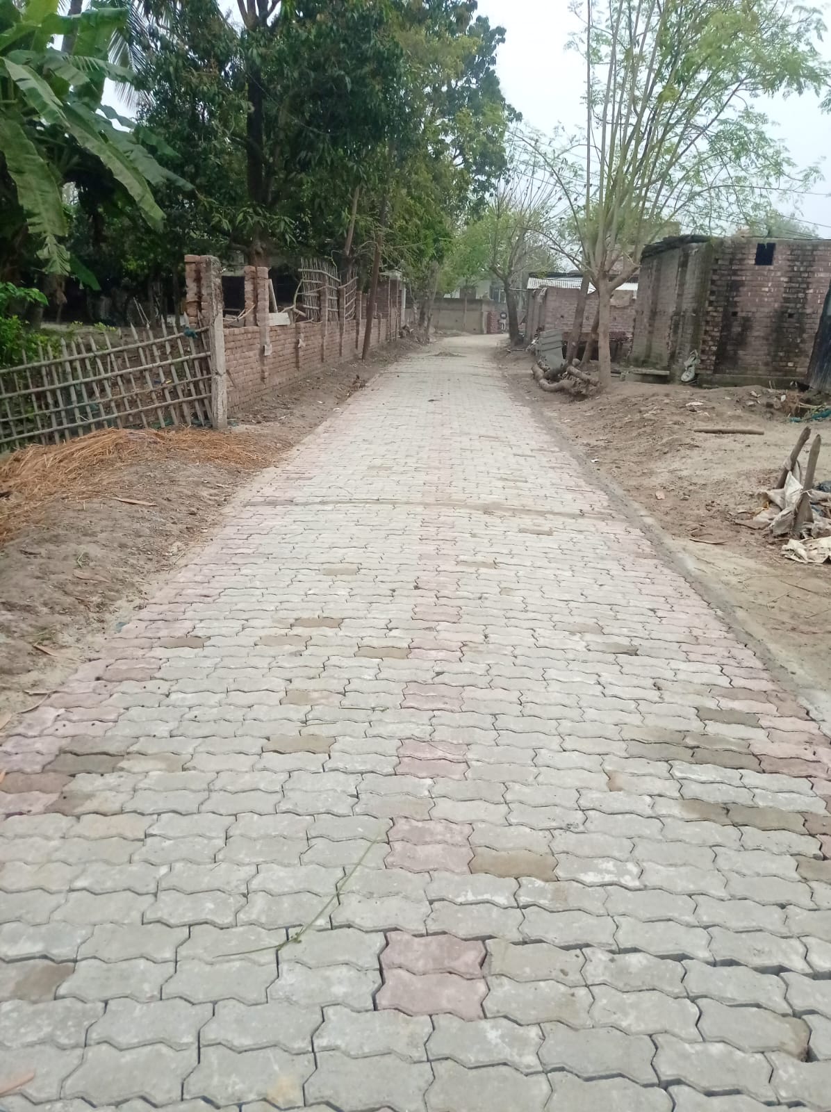 ব্যানার