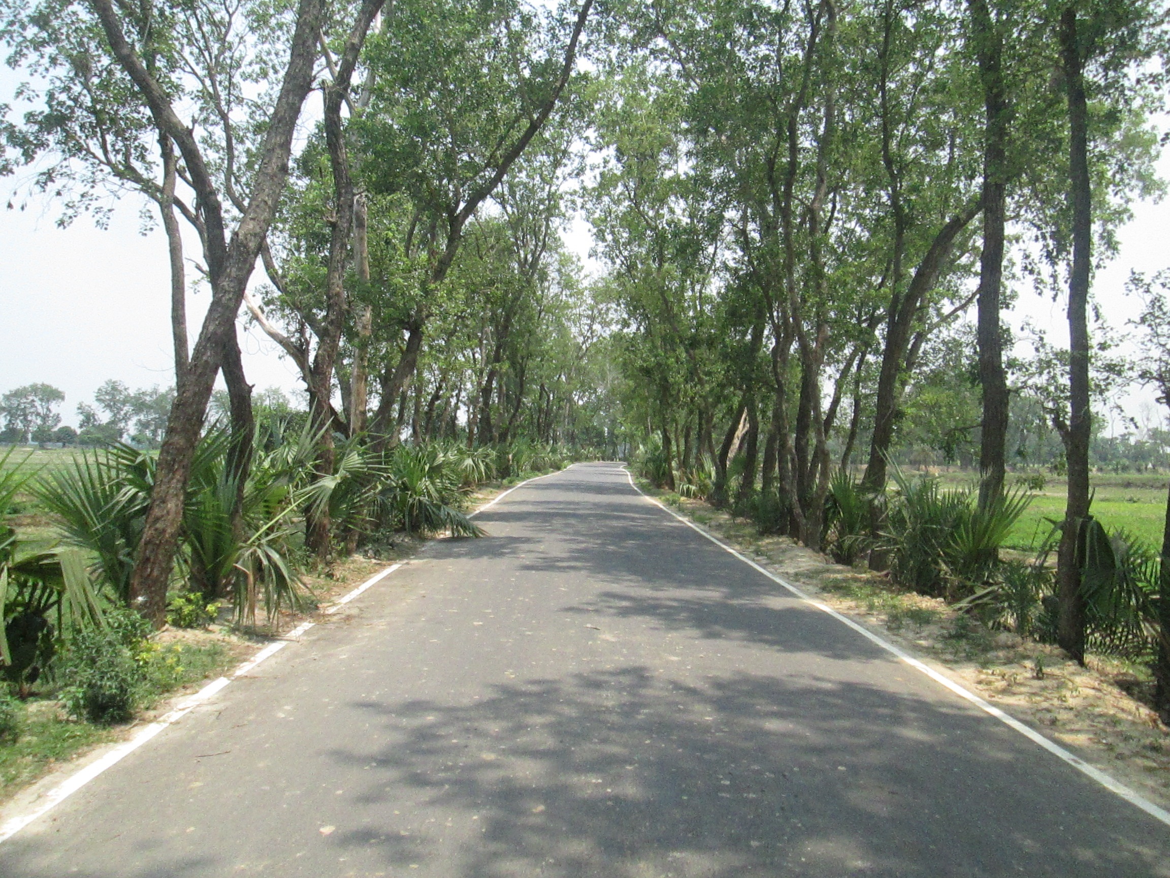 উন্নয়ন মূলক কাজ