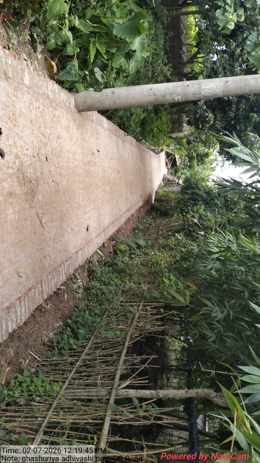 ঘাসুরিয়া আদিবাসি পাড়া
