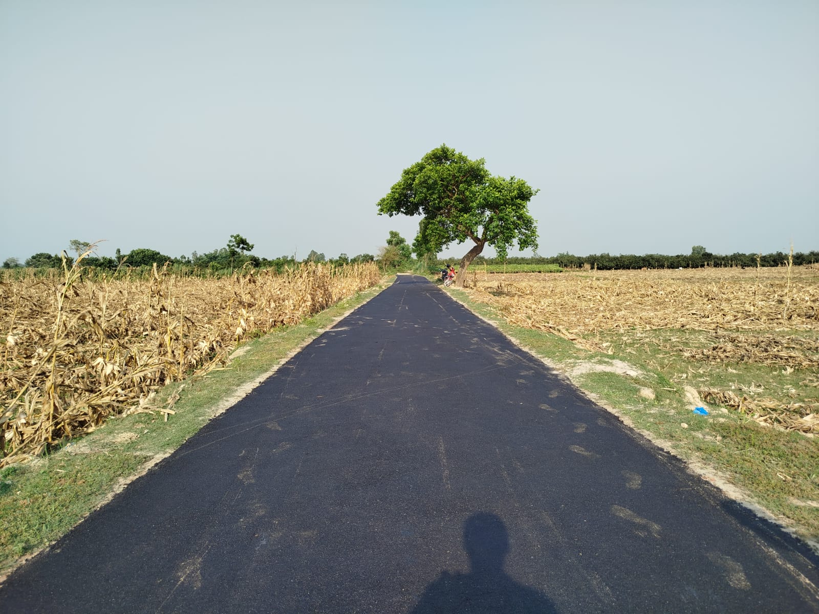 উপজেলা প্রকৌশলীর কার্যালয়, হরিপুর, ঠাকুরগাঁও।