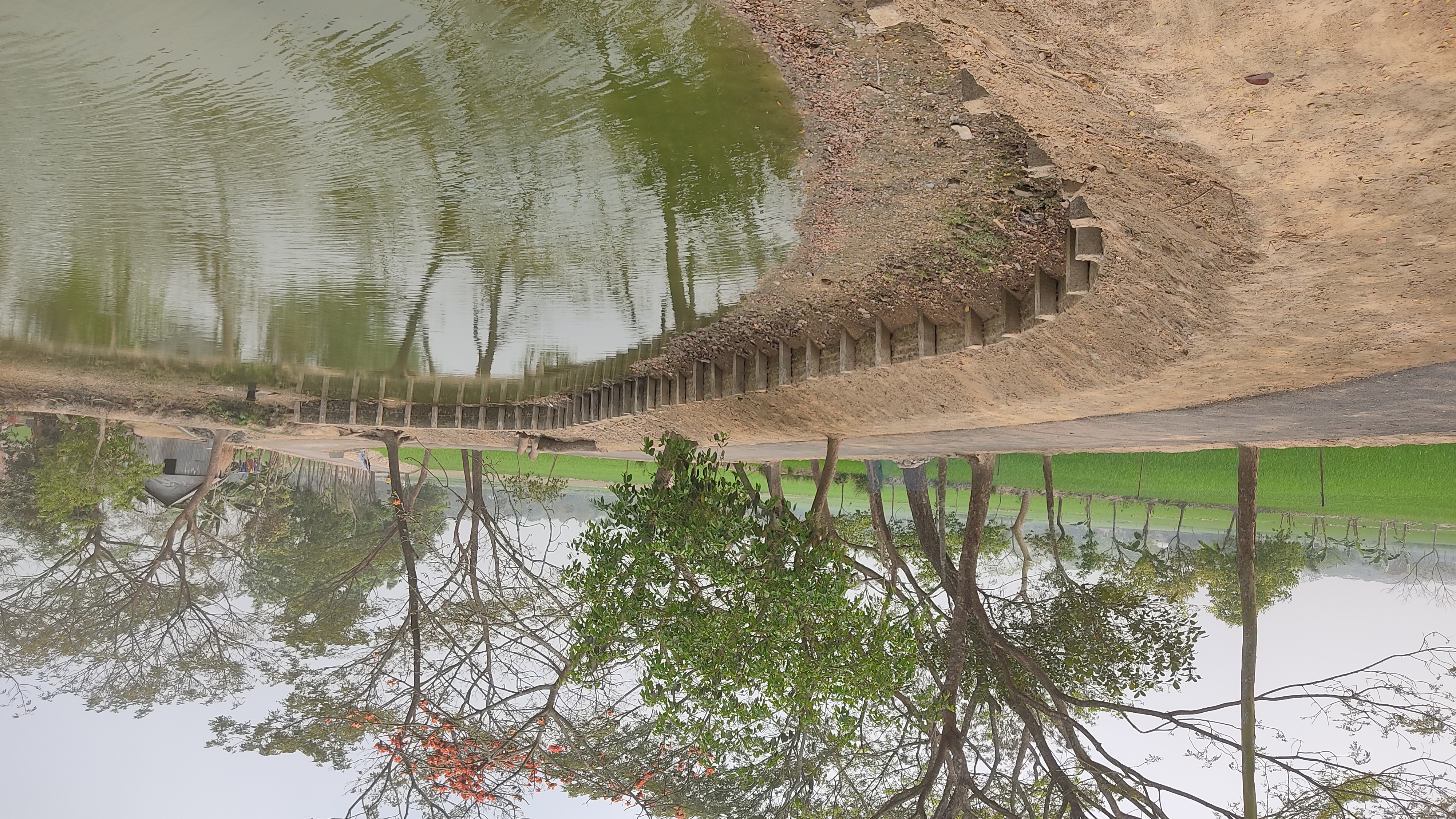 নওসূতি বাজার- দিপগঞ্জ বাজার সড়ক