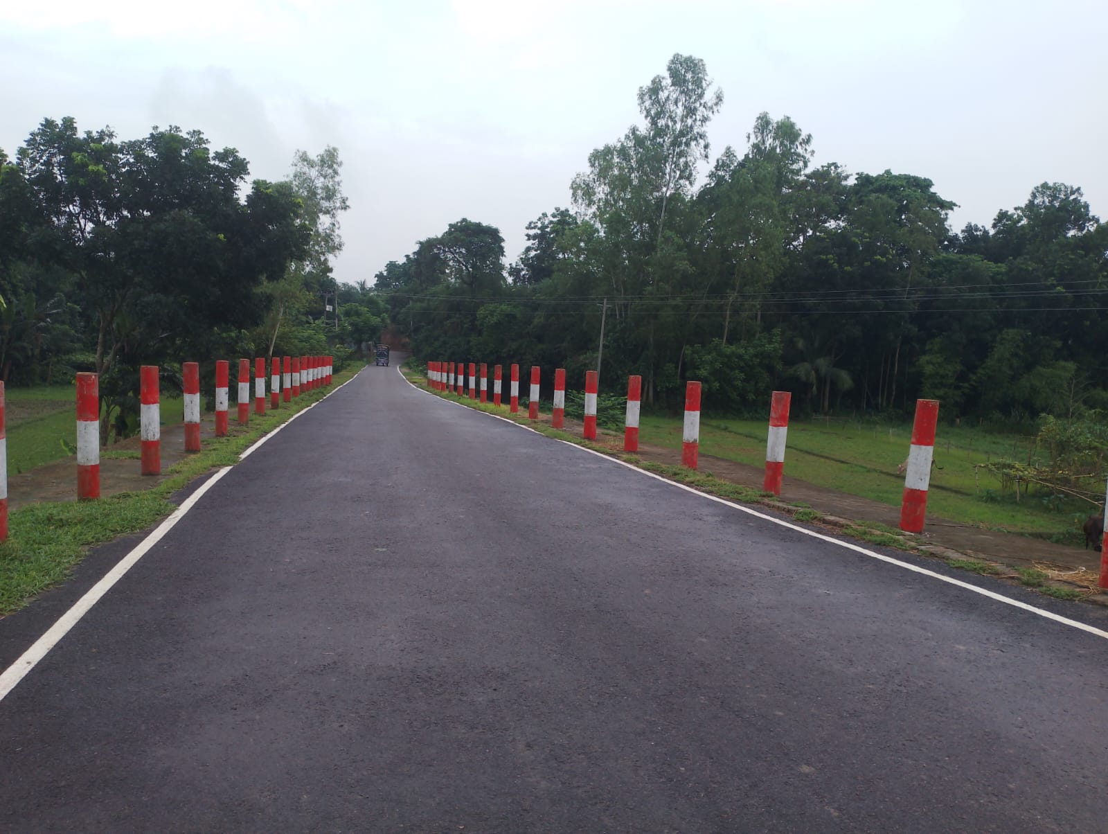 এলজিইডি সড়ক