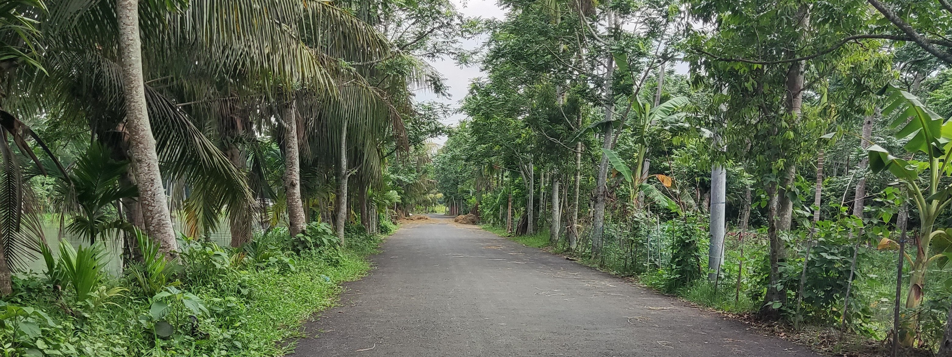 Jhalokati R&H-Panjiputhipara GC via Kirtipasa, Bhimruli bazar