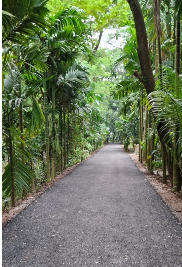 চর জাঙ্গালিয়া- আমজাদিয়া সড়ক মেরামত