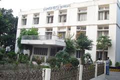 Deputy Principal Information Officer 