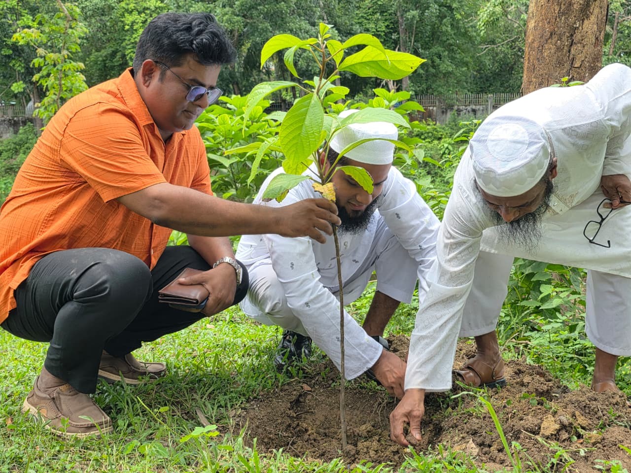 বৃক্ষরোপন কর্মসূচি - ২০২৬