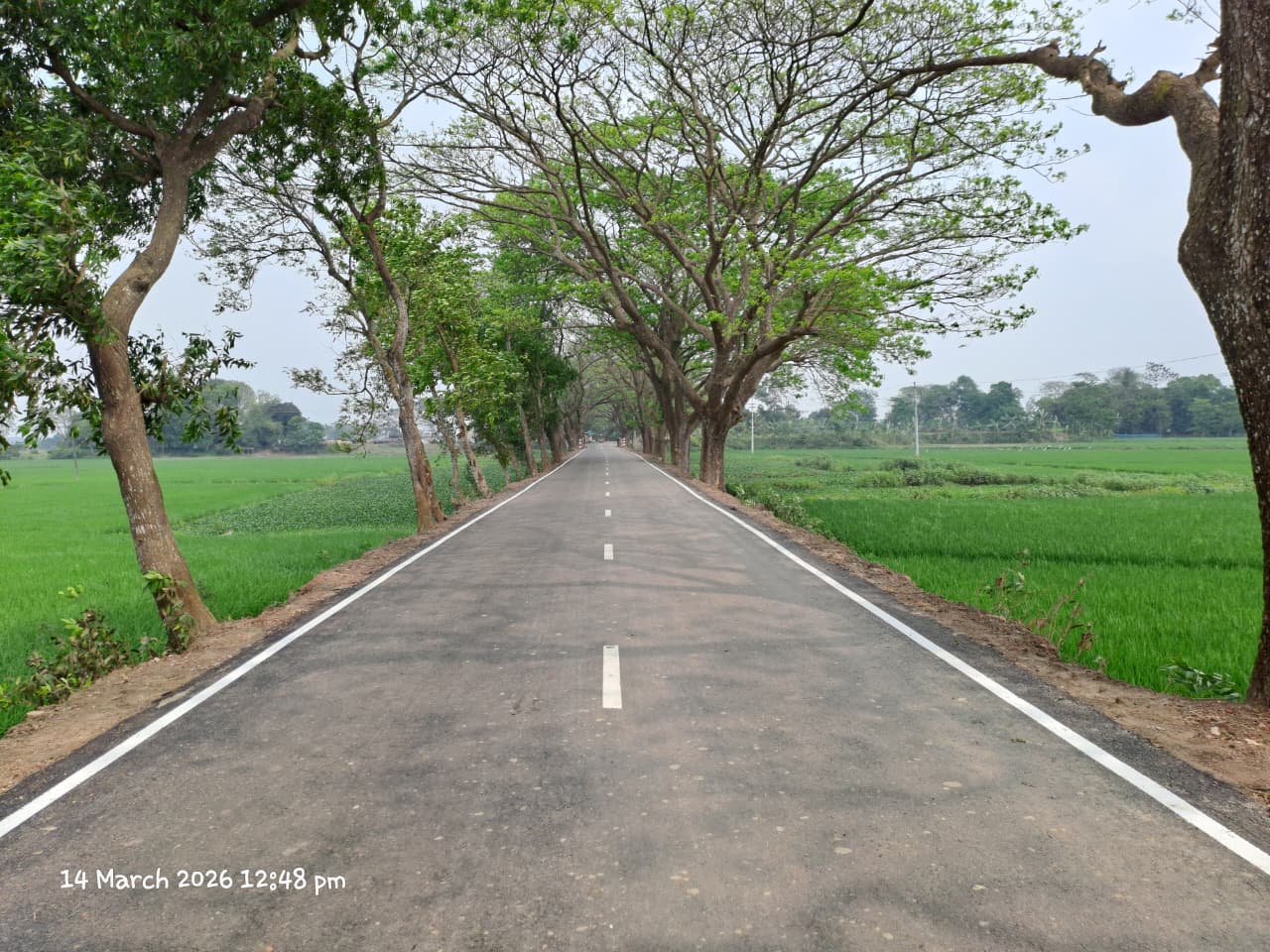 সড়ক