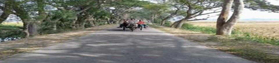 সড়ক উন্নয়ন ও রক্ষণাবেক্ষণ