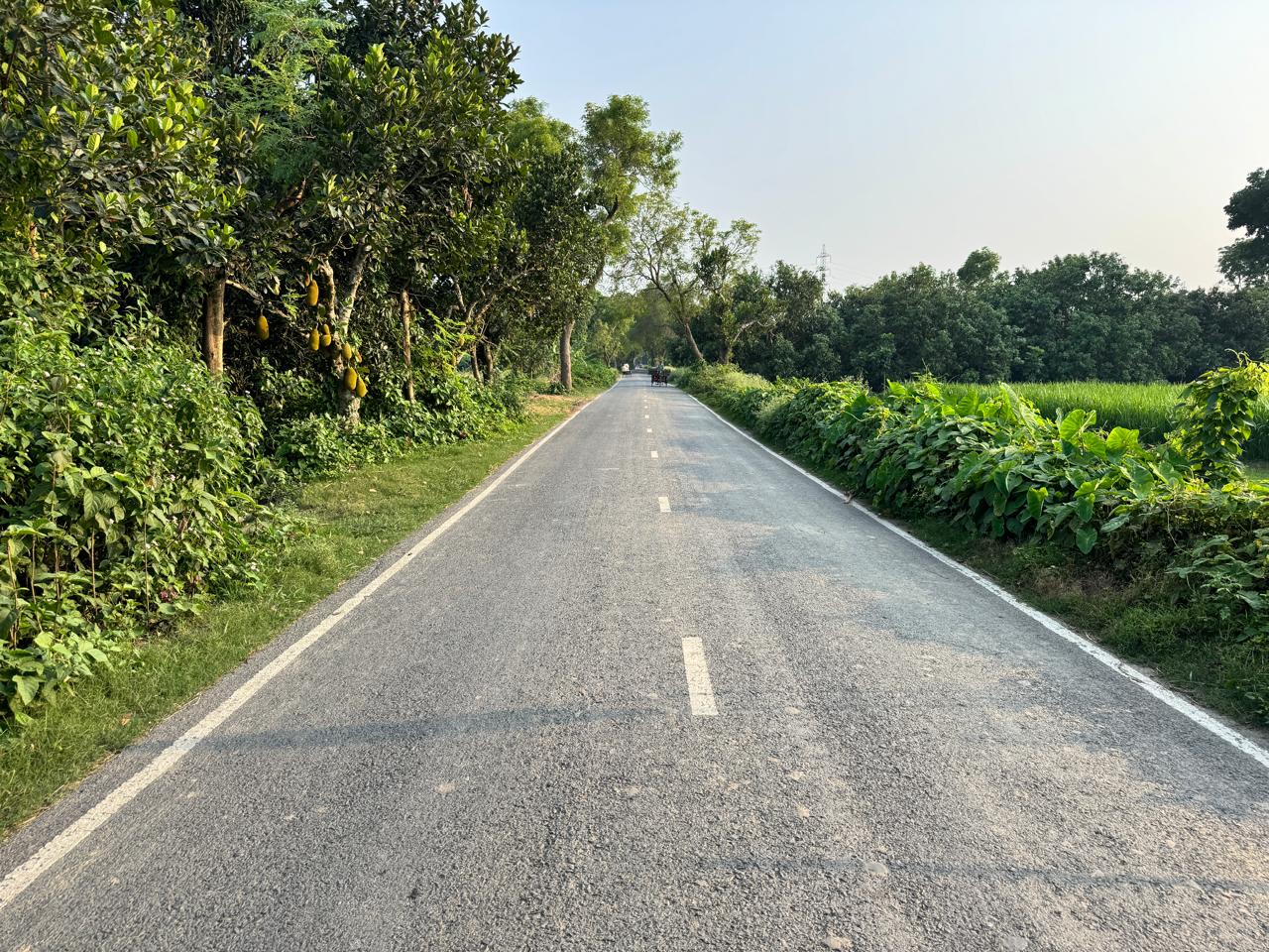 ফটোগ্যালারি