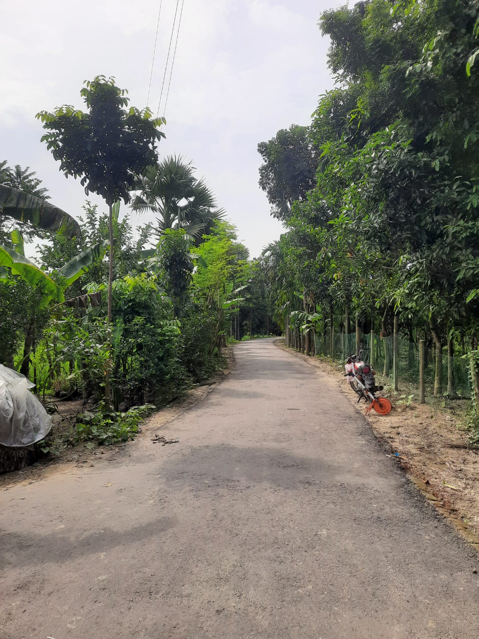 চলমান কাজের স্থির চিত্র