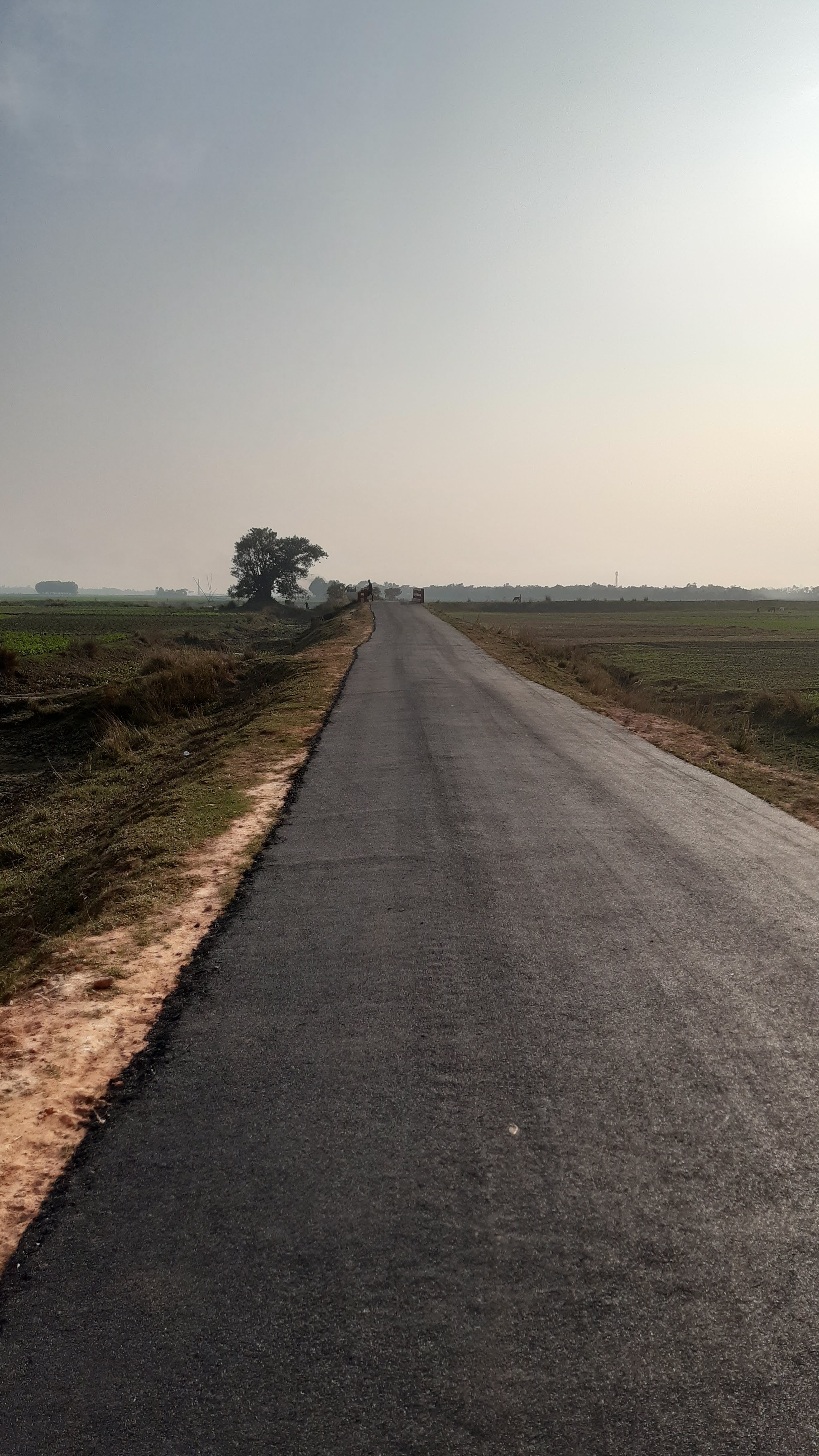 Maolana Asad Ali road