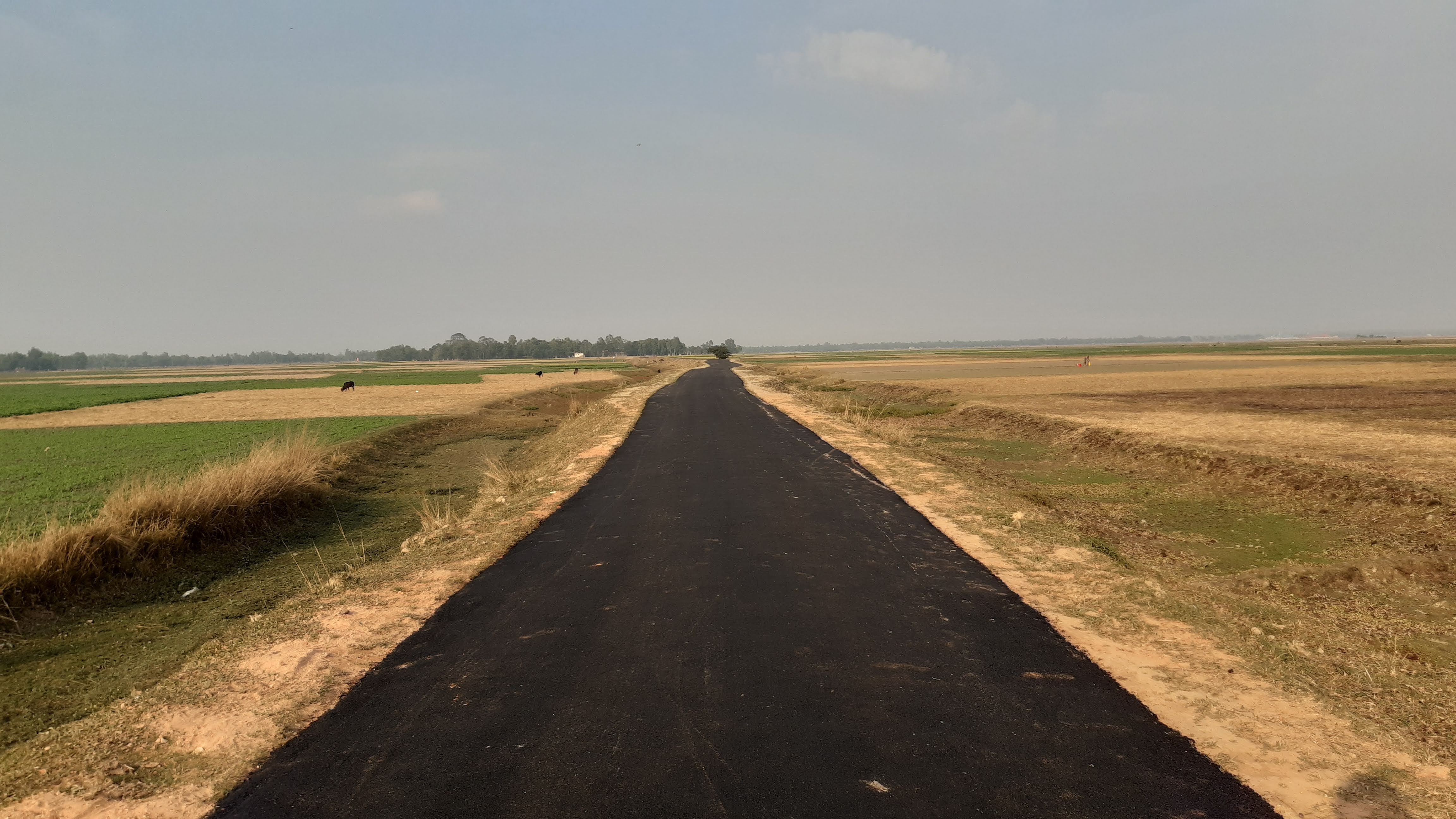 Maolana Asad Ali road