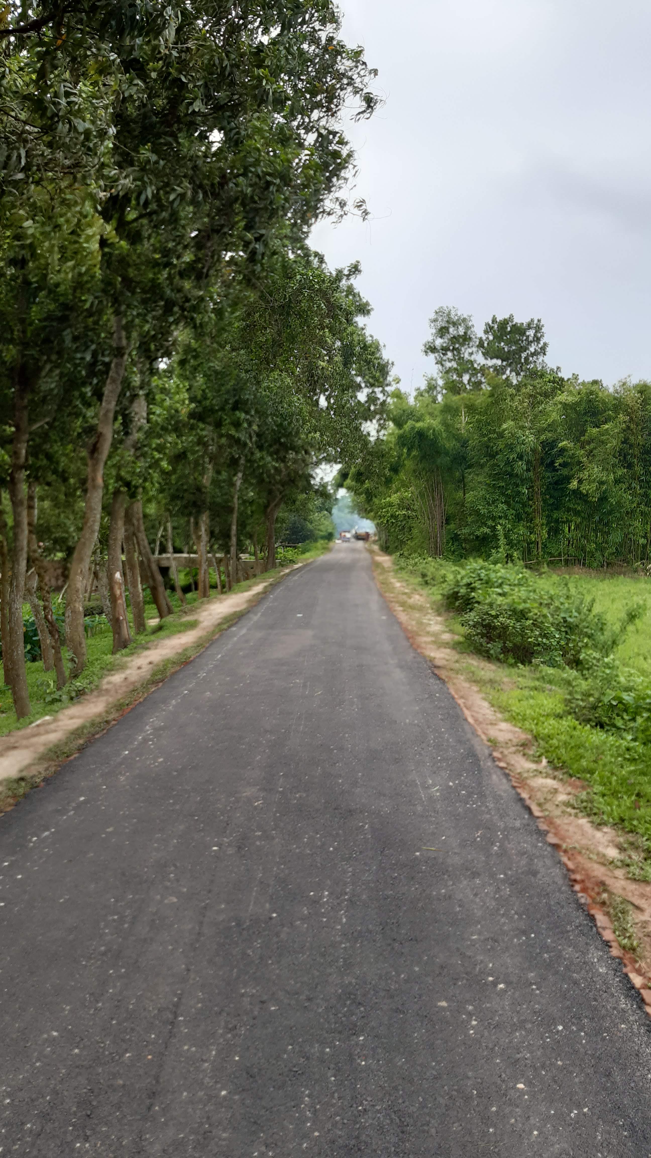 তেমুনিয়া- বি এ ডি সি রোড