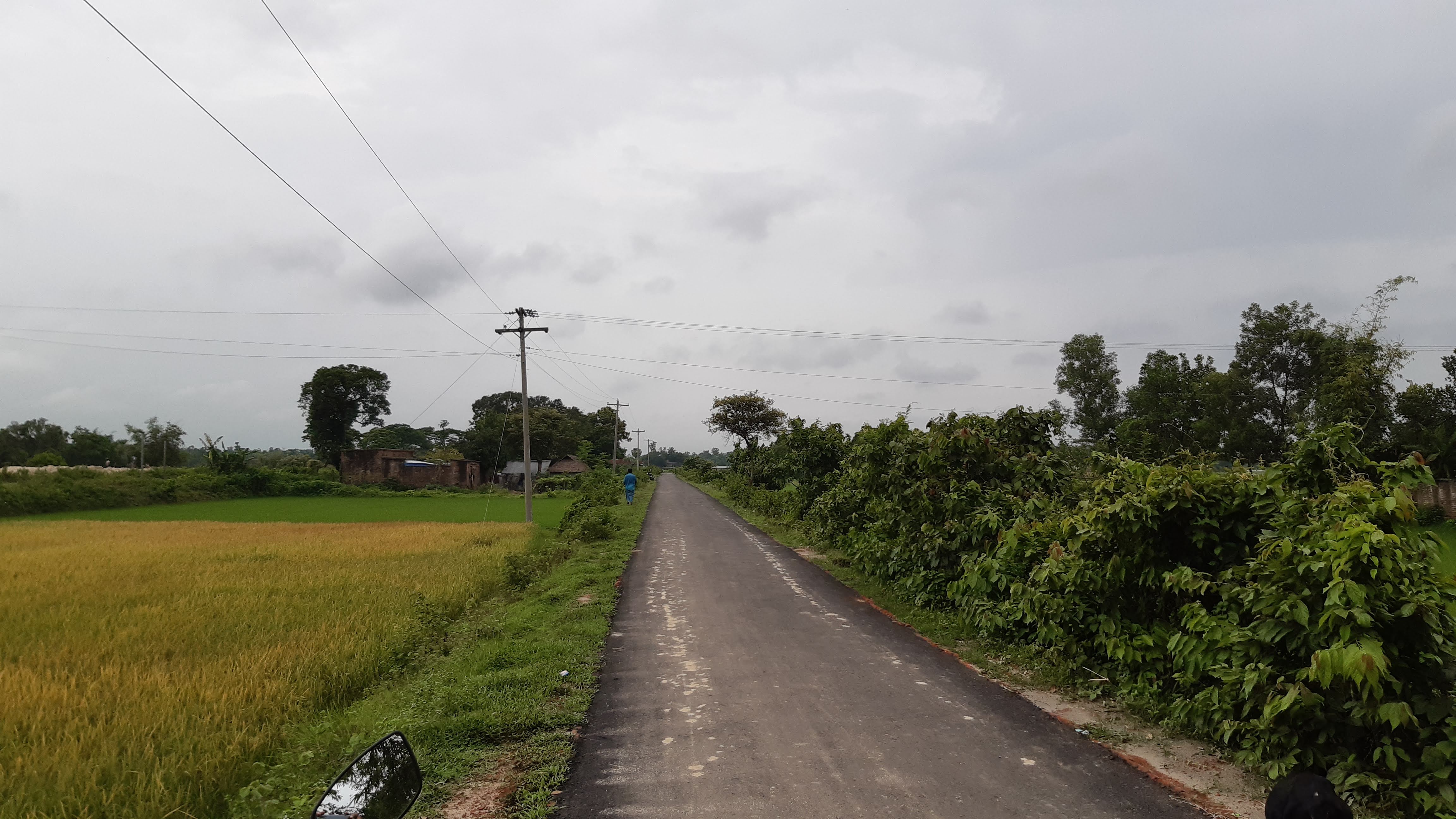 তেমুনিয়া- বি এ ডি সি রোড
