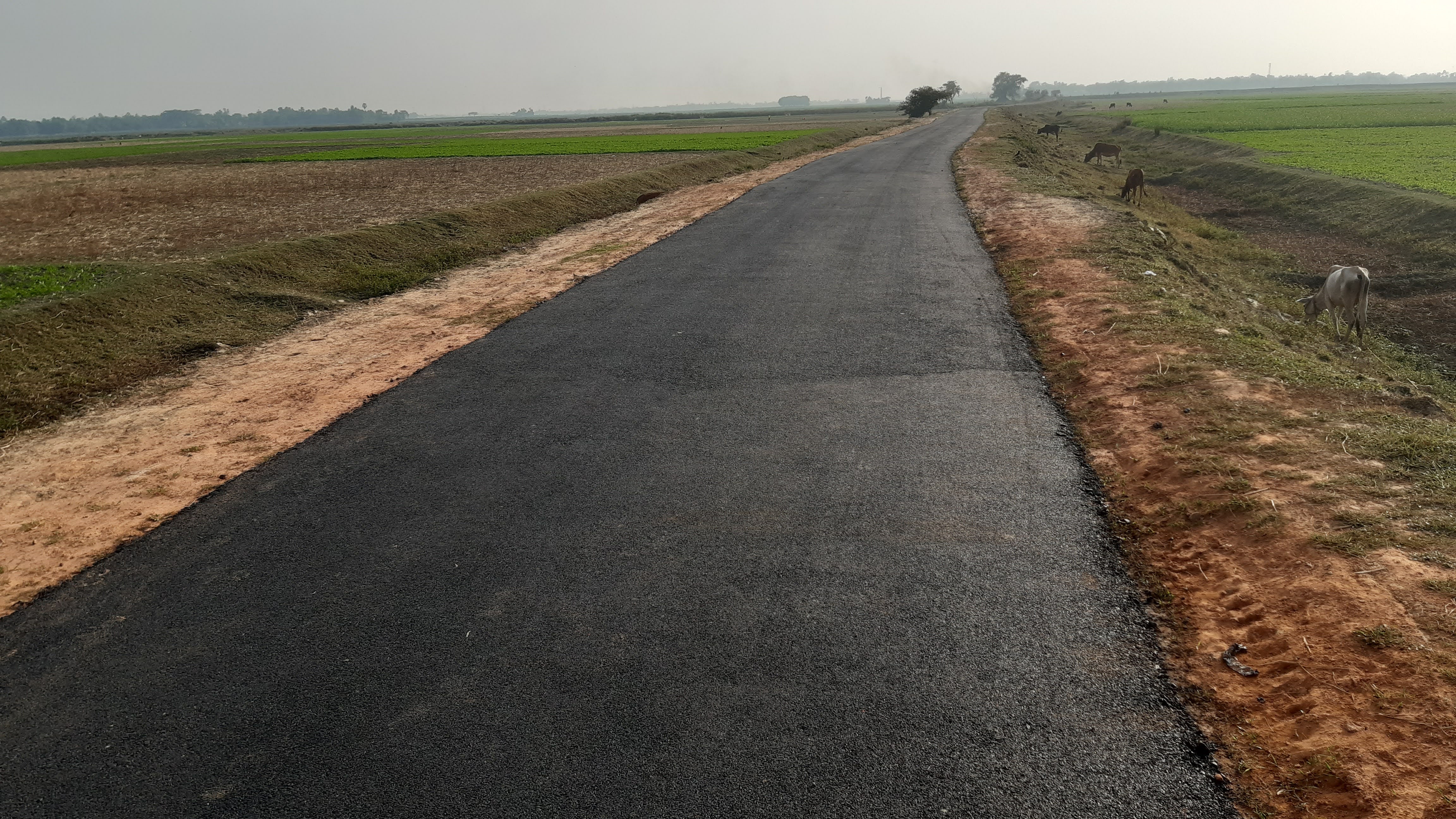 Maolana Asad Ali road