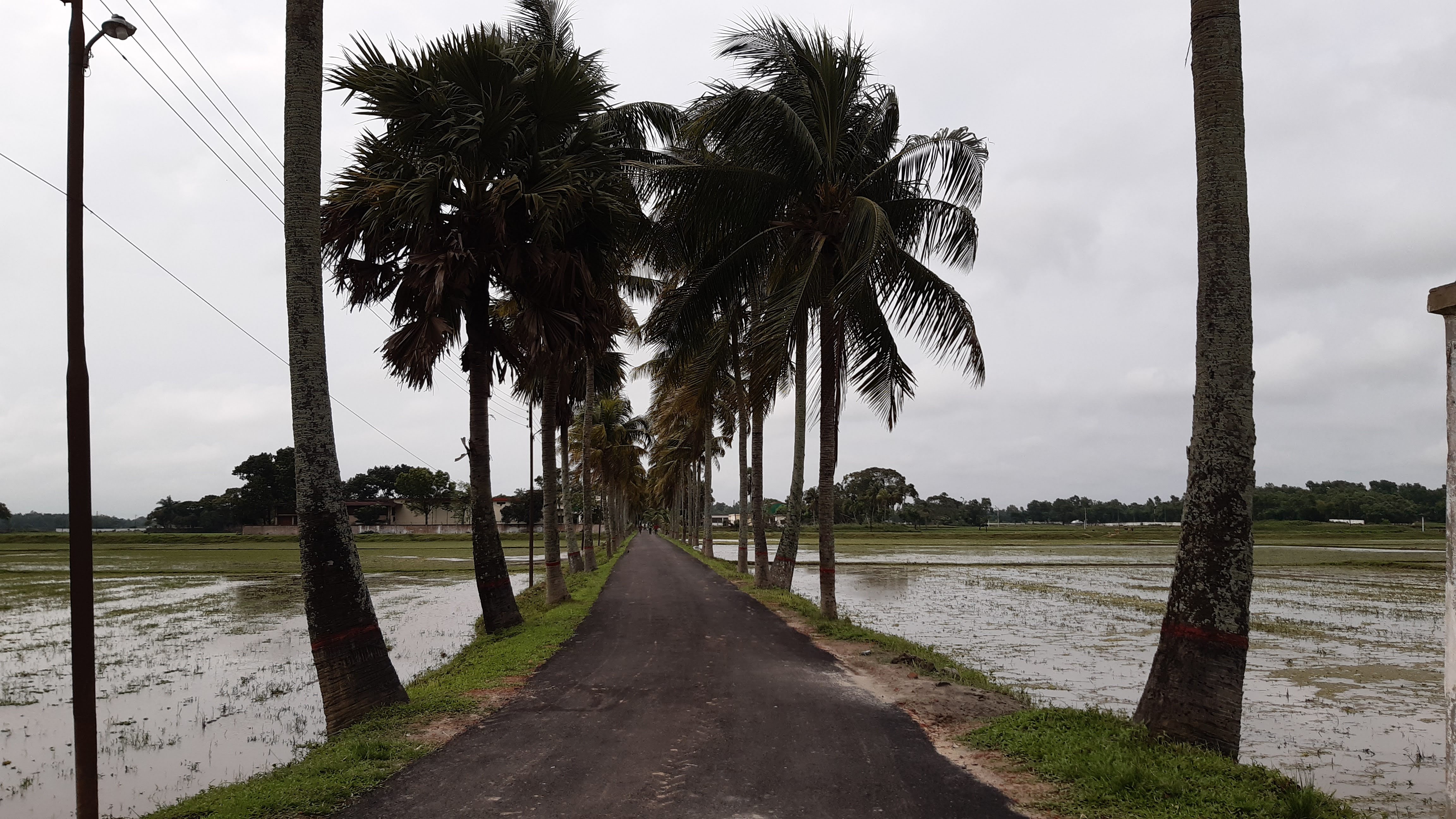 তেমুনিয়া- বি এ ডি সি রোড
