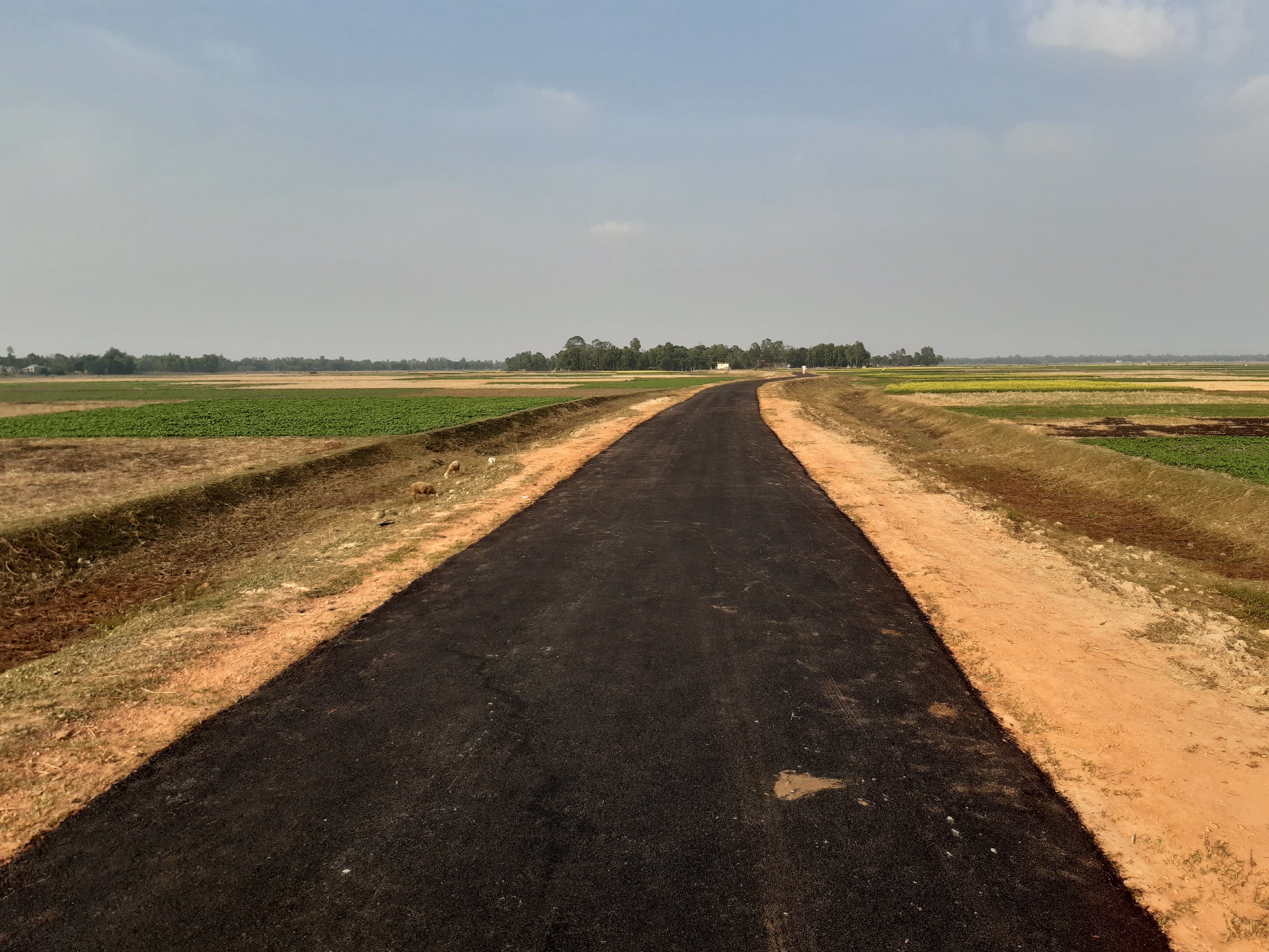 Maolana Asad Ali road