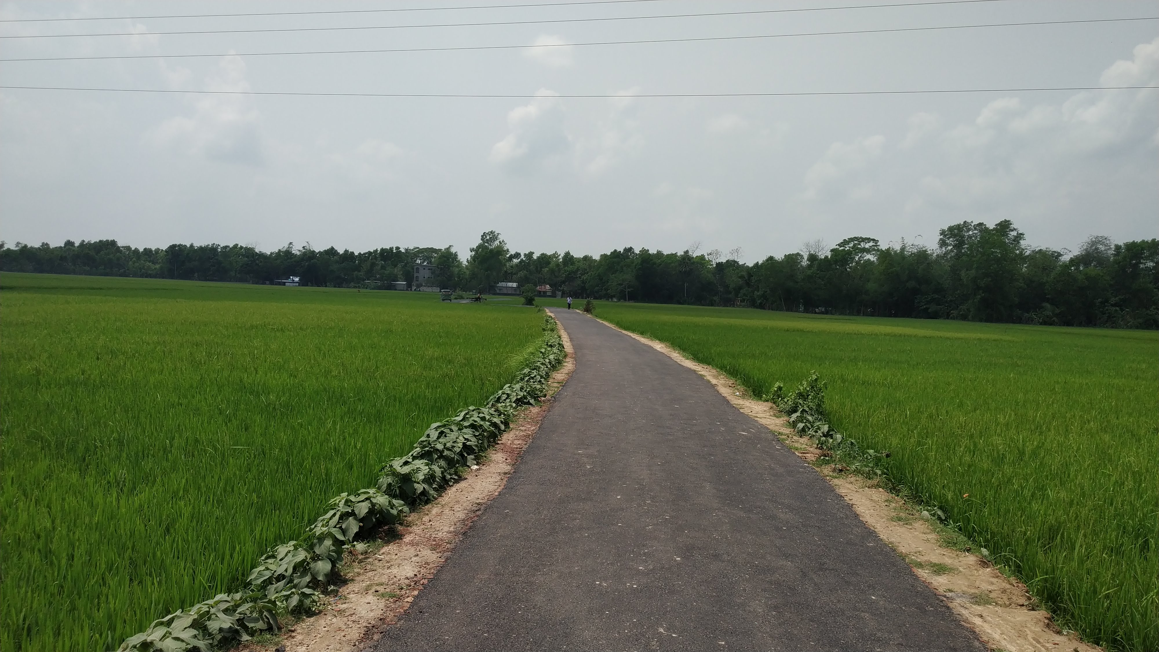 Bahara UP office-Akhrabazar road - GOB