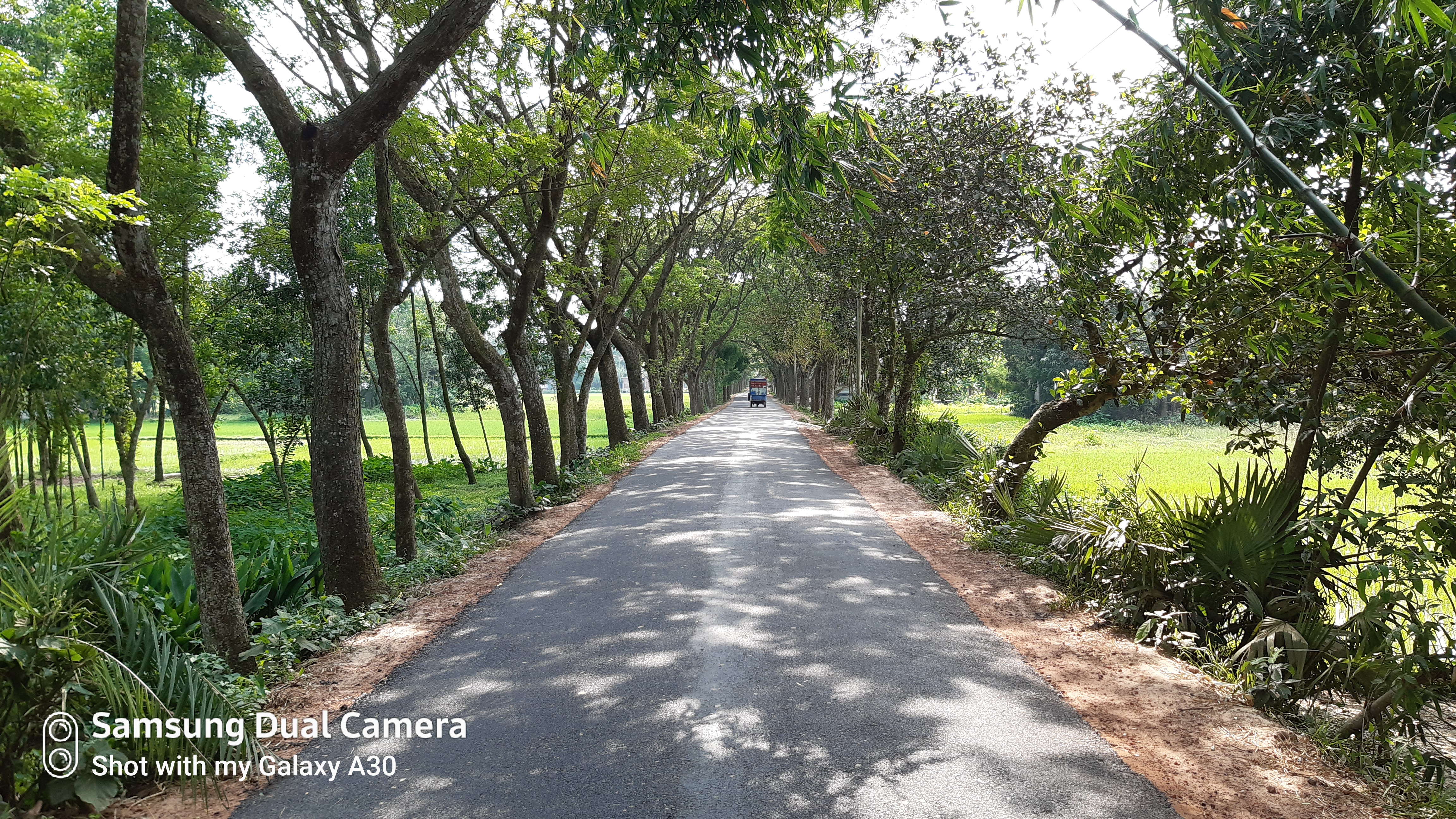 Choumuhoni-Harashpur road