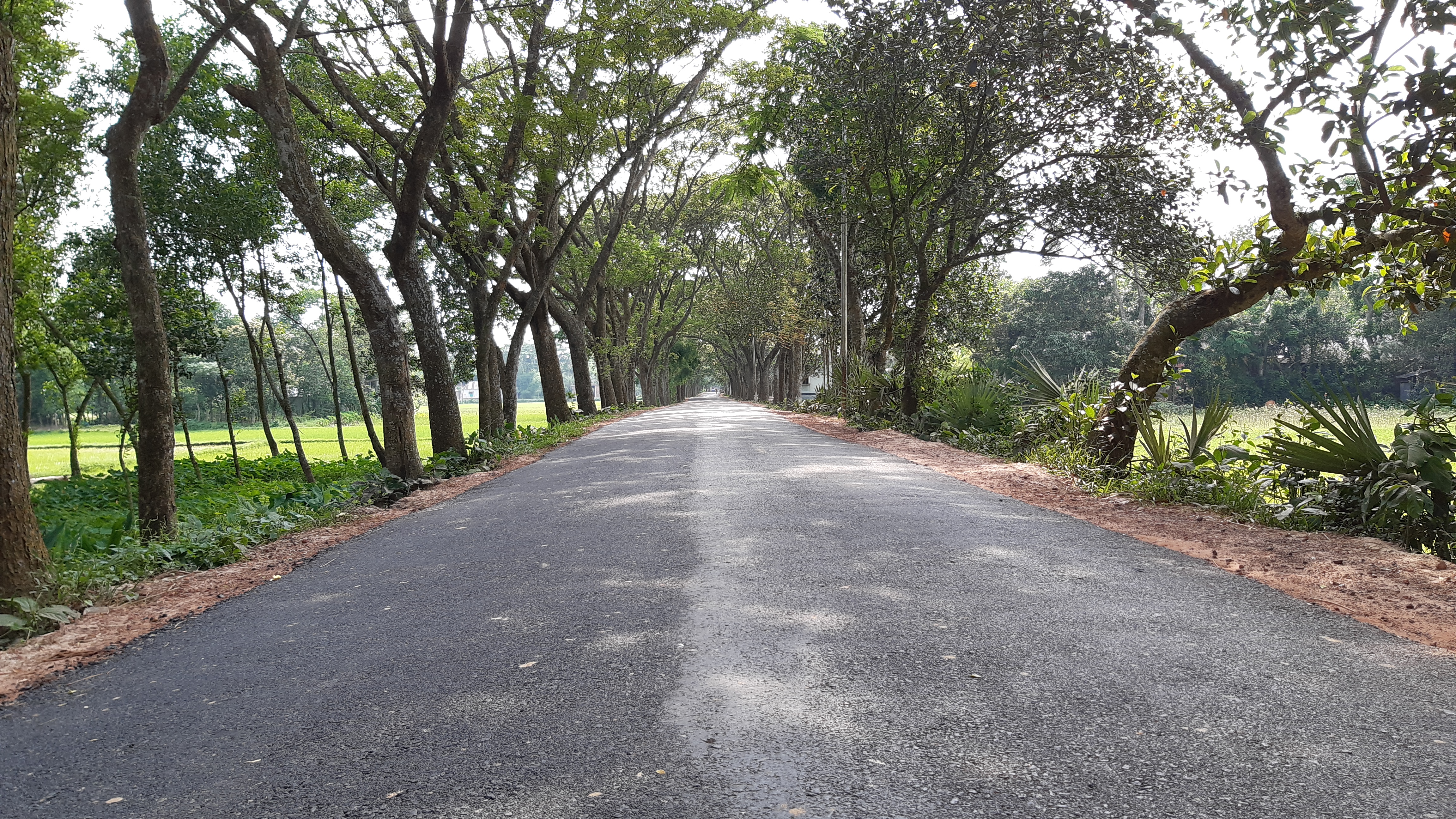 Choumuhoni-Harashpur road