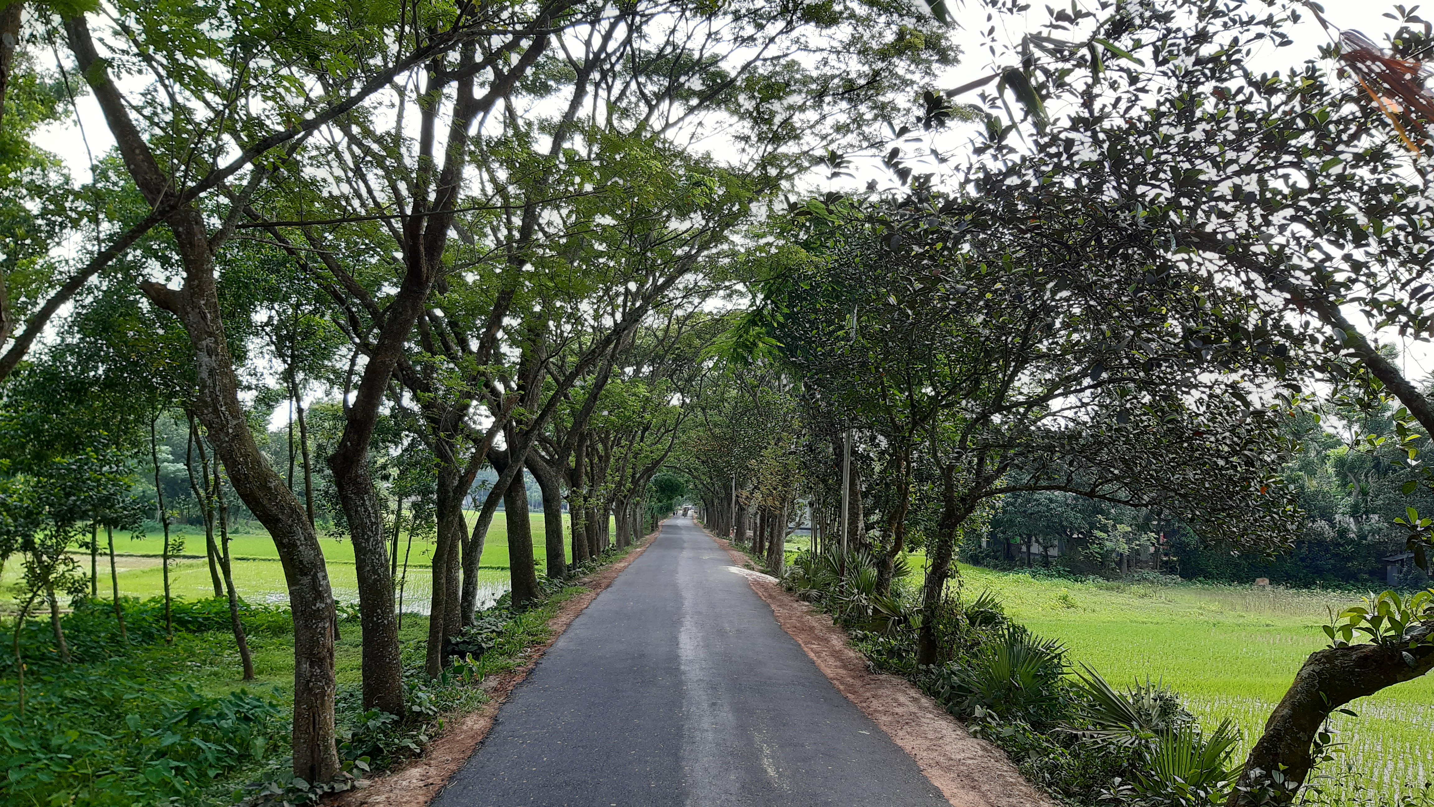 Choumuhoni-Harashpur road