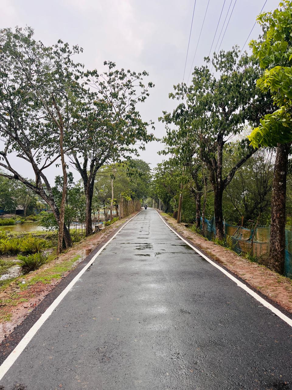 গ্রামীণ সড়ক