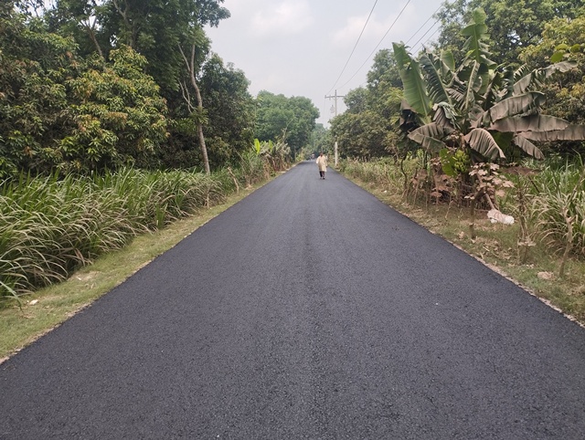 মুজিবনগর উপজেলা হেডকোয়াটার-বাগোয়ান আরএইচডি সড়কের ছবি