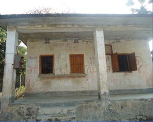 ফটো গ্যালারী