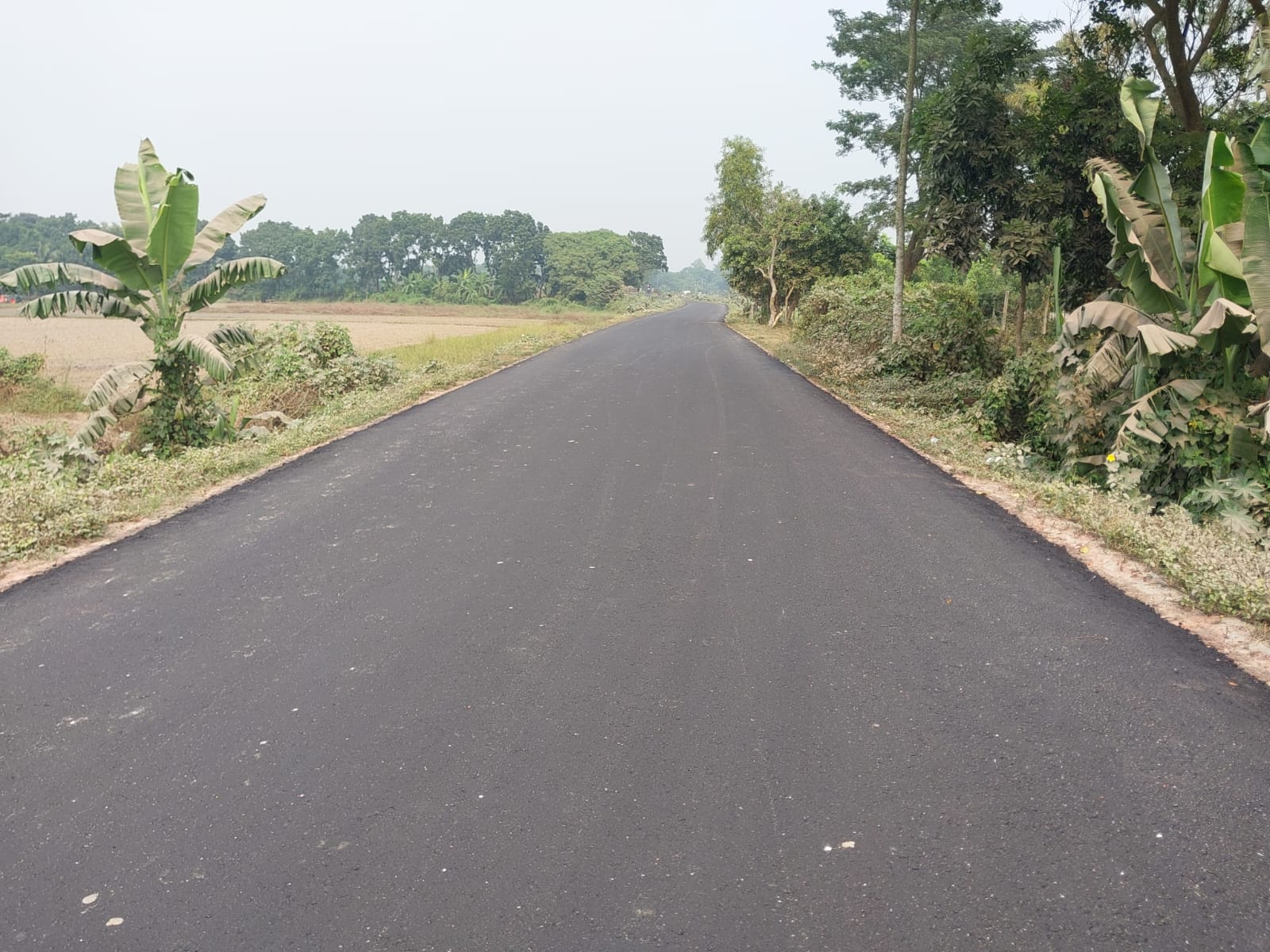 ঢাকা জেলার নবাবগঞ্জ উপজেলায় বাস্তবায়িত বিভিন্ন সড়ক