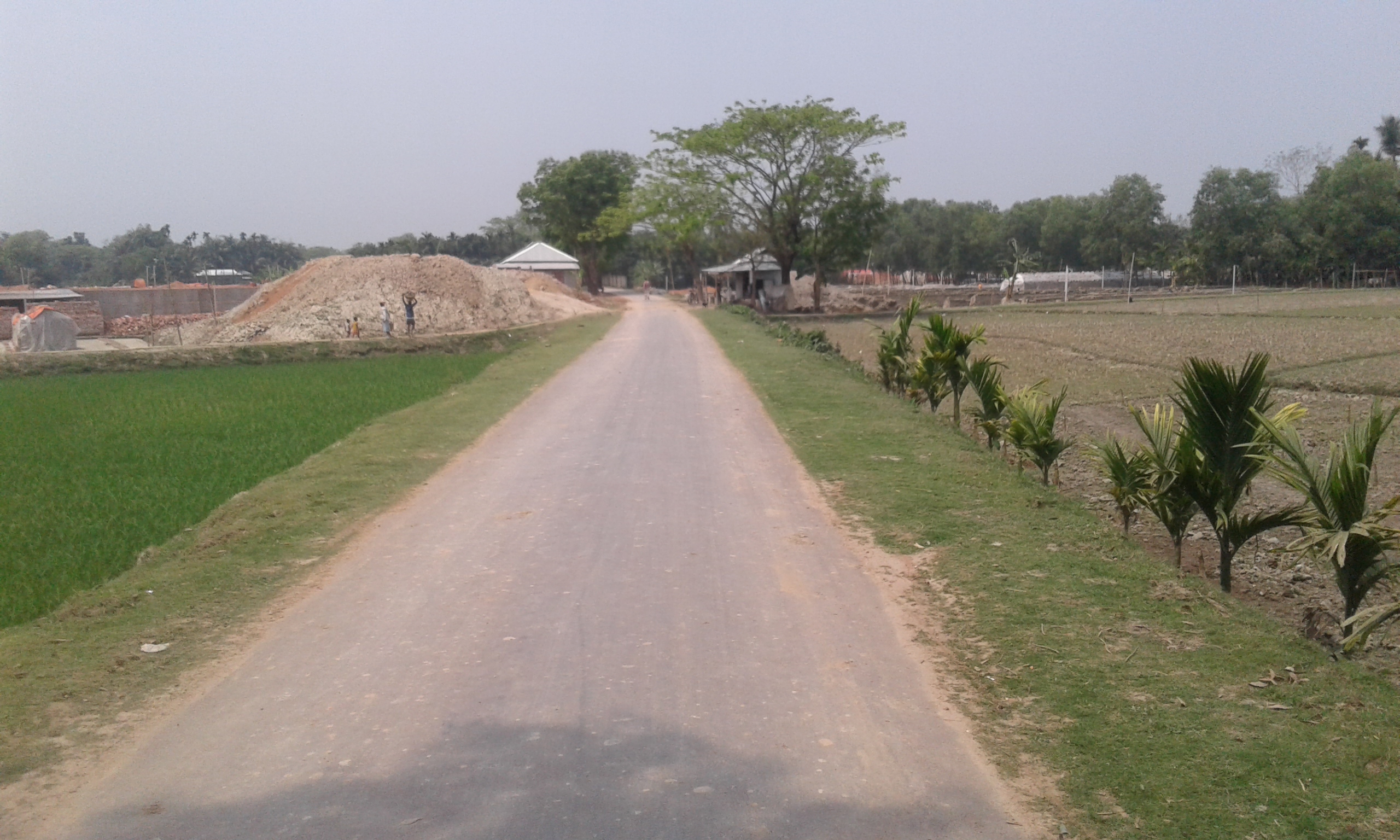 এলজিইডি নির্মিত সড়ক