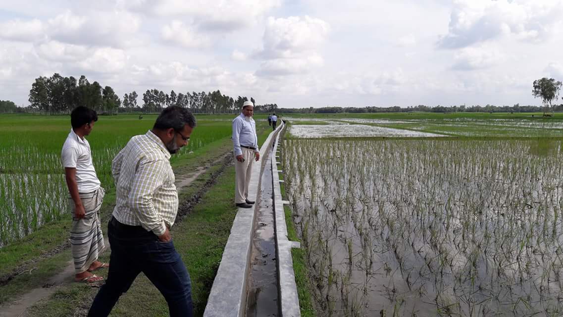 সৈয়দপুর উপজেলায় এডিপির অর্থে সেচ নালা নির্মান