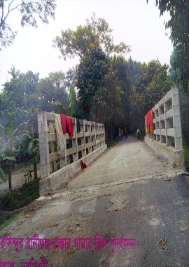 চরসিন্দুর - রানীগঞ্জ রাস্তার গাডার ব্রীজ পুনর্বাস