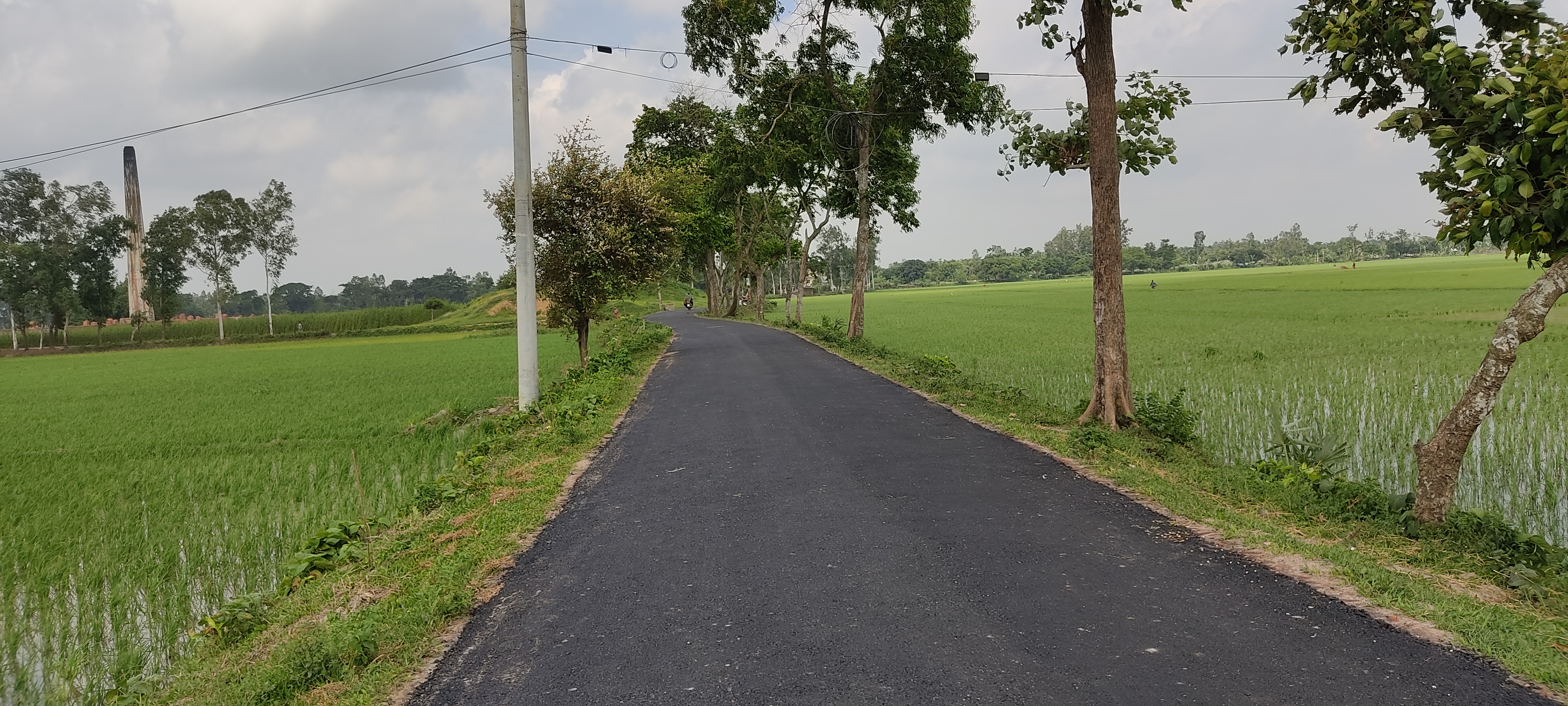 নির্মানাধীন সড়ক